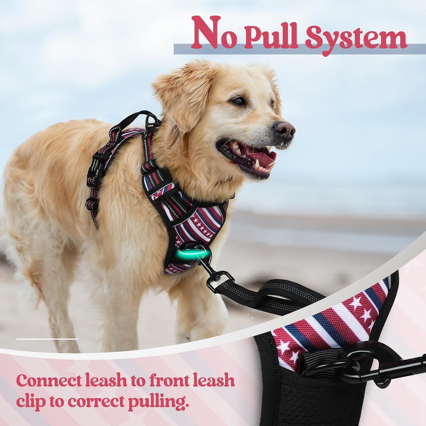 rabbitgoo Dog Harness No Pull with 2 Leash Clips, Adjustable Soft Padded, Reflective Oxford No Choke Pet Vest with Easy Control Handle for Large Dogs, Red Stripe, L