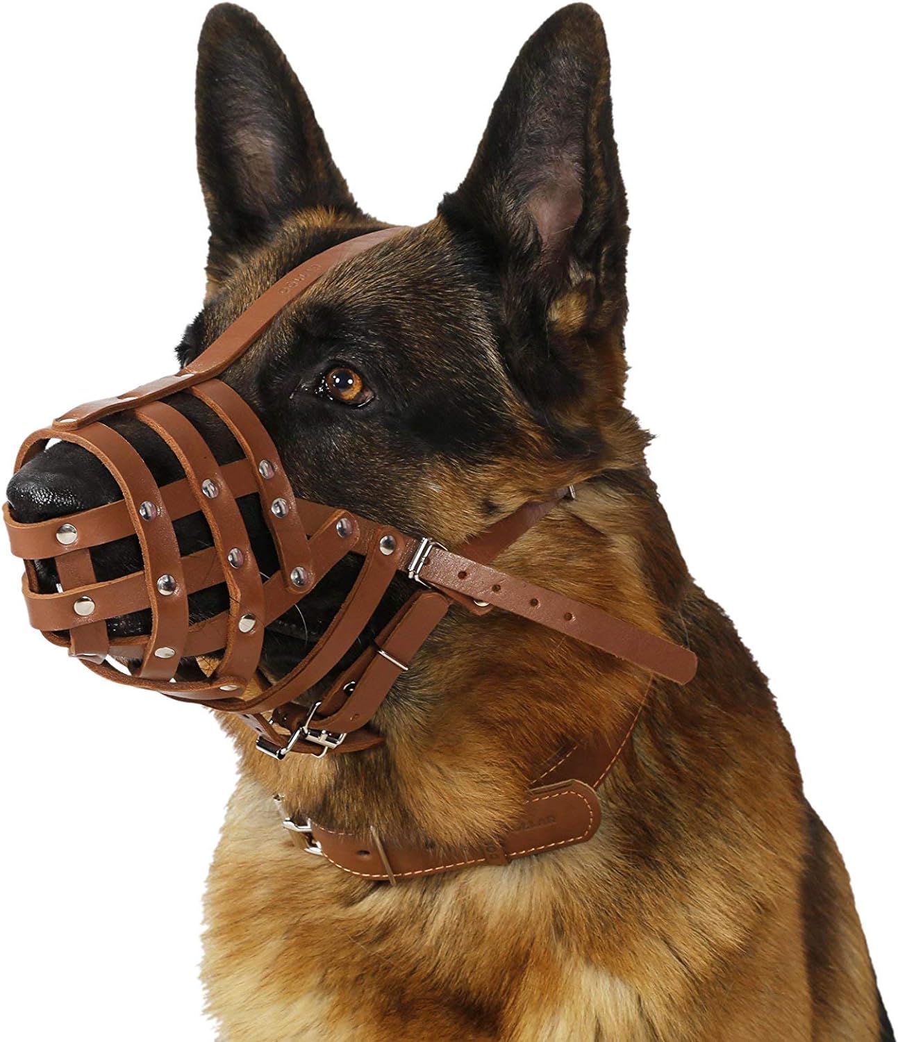 CollarDirect Dog Muzzle German Shepherd Dalmatian Doberman Setter Leather Basket Medium Large Breeds (Chestnut Brown, Large)