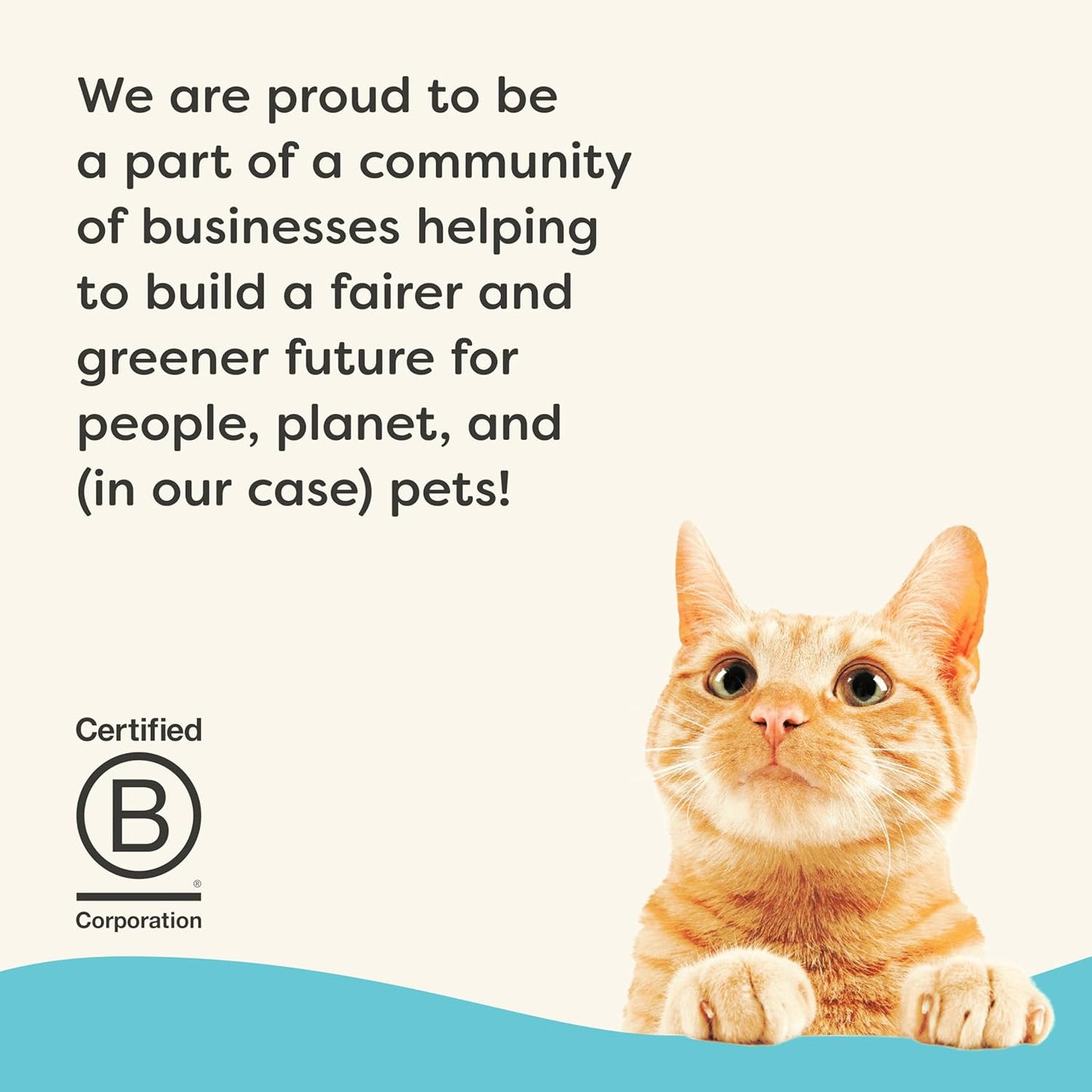 Applaws Vitality Wet Cat Food in Broth, Natural Canned Cat Food, Wet Food for Cats with Added Vitamins and Minerals, Grain Free, Carrageenan Free, Tuna Fillet in Broth (24 Count, 2.47 oz Cans)