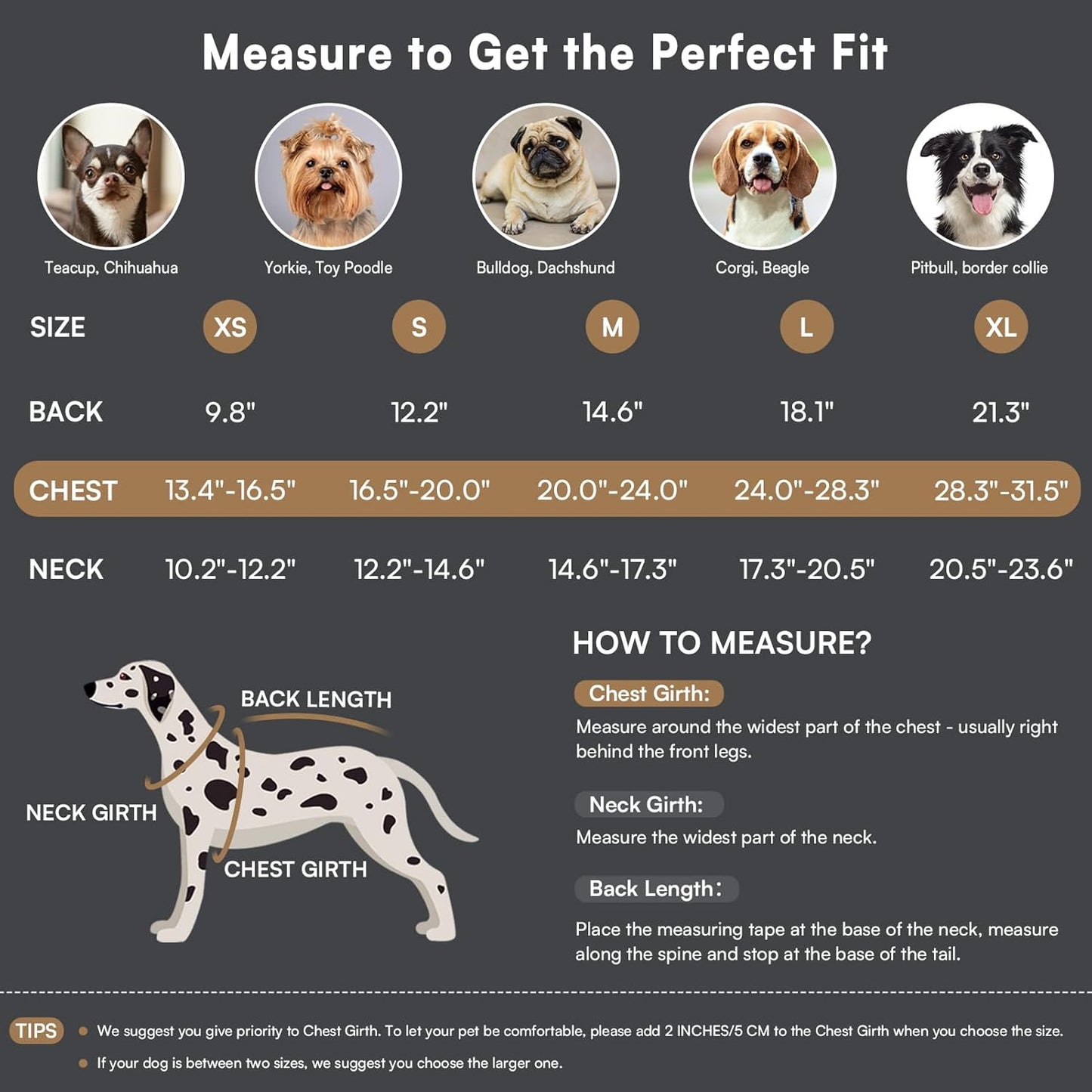 Queenmore Dog Winter Coat Warm Dog Jacket for Cold Weather, Quilting Puffer Plaid Coats for Small/Medium Dogs Waterproof,Girl/Boy Pet Christmas Coat,Pet Snowsuit with Leash Hole/Fleece Padding, S