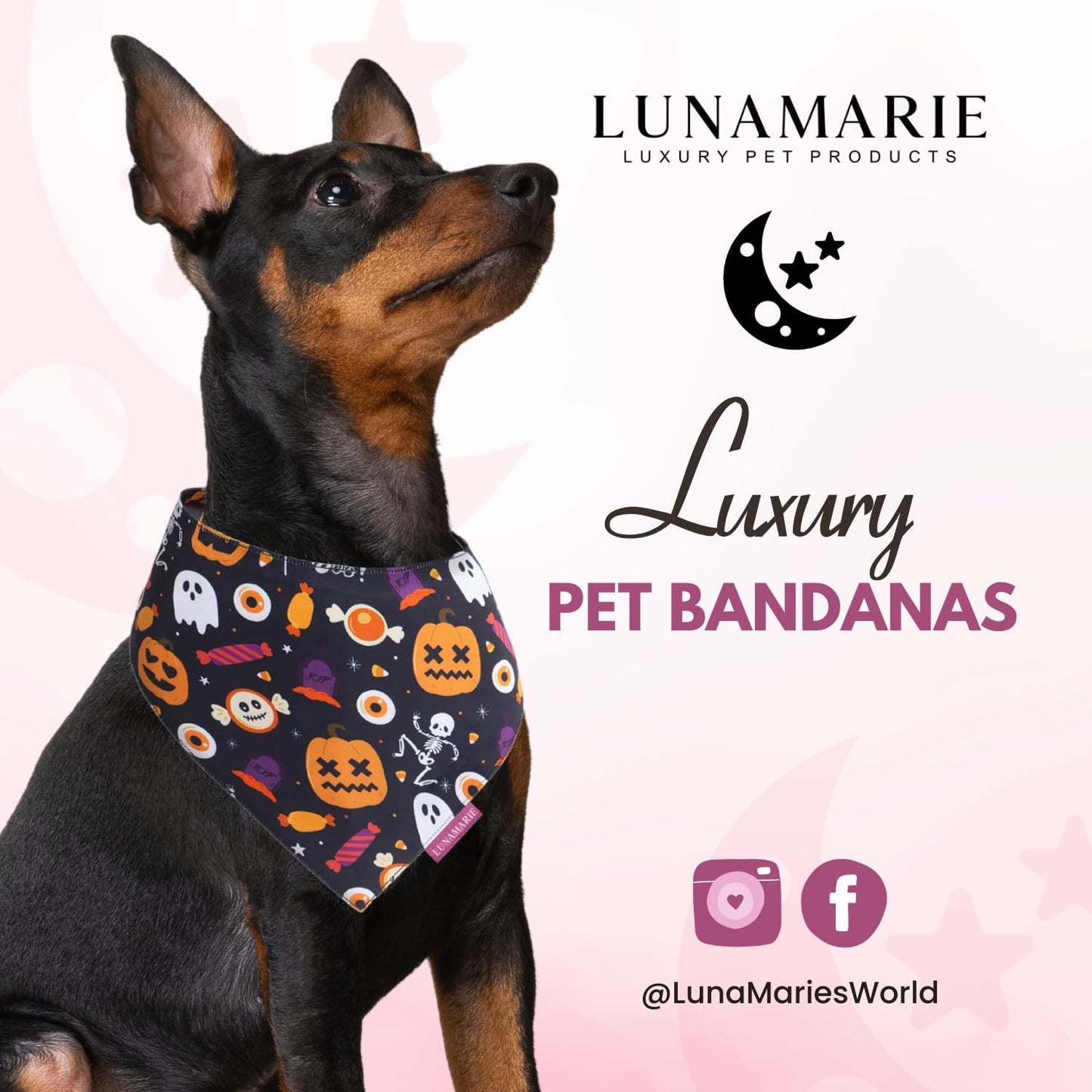 LunaMarie - Luxury Cat and Dog Bandanas - Halloween Designs | Premium Silky Poly Fabric | 100% Handmade Custom Shape Dual Layered Small, Medium, Large Cat Scarf (Trick-Or-Treat, Small)