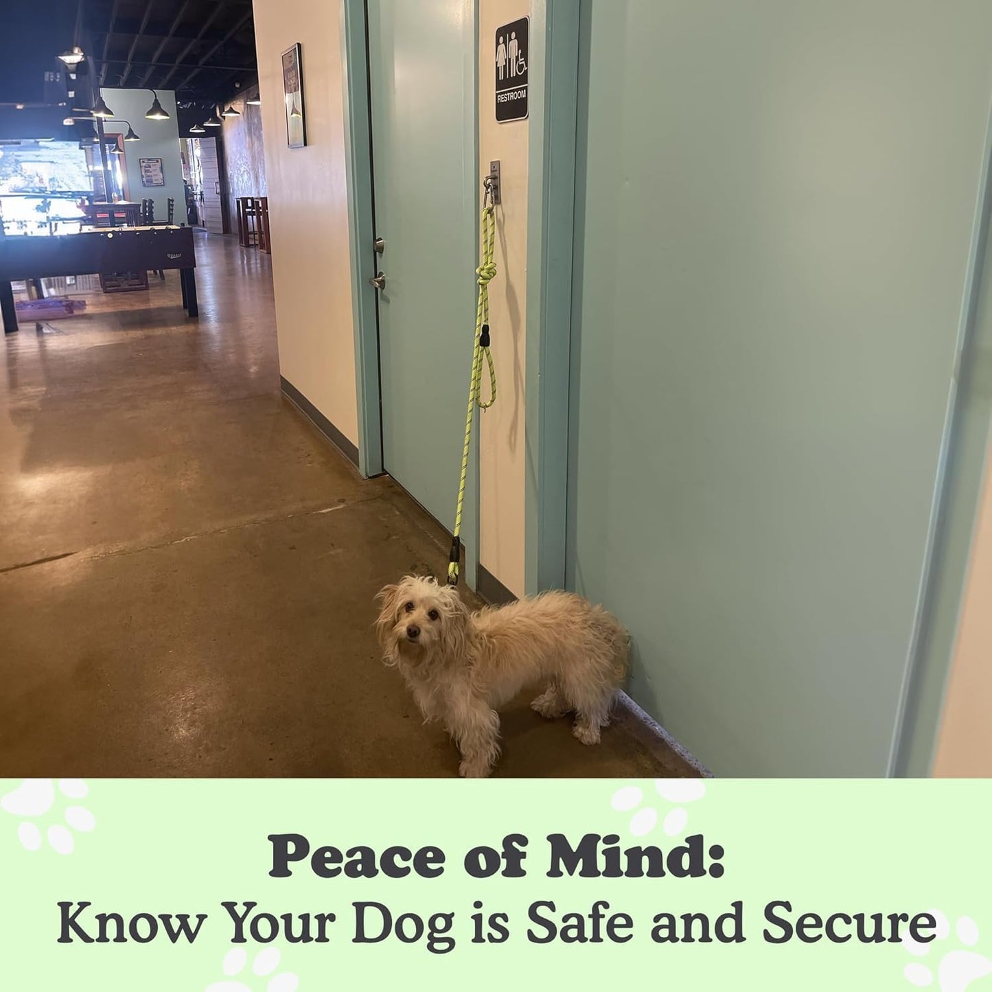 Canine Hitch- Secure Dog Leash Parking Wall Slim Hook with Clip 2 Pack - Tie Out Stainless Steel & ABS Mounting Plate for Strength - Practical Lead Management for Home & Business