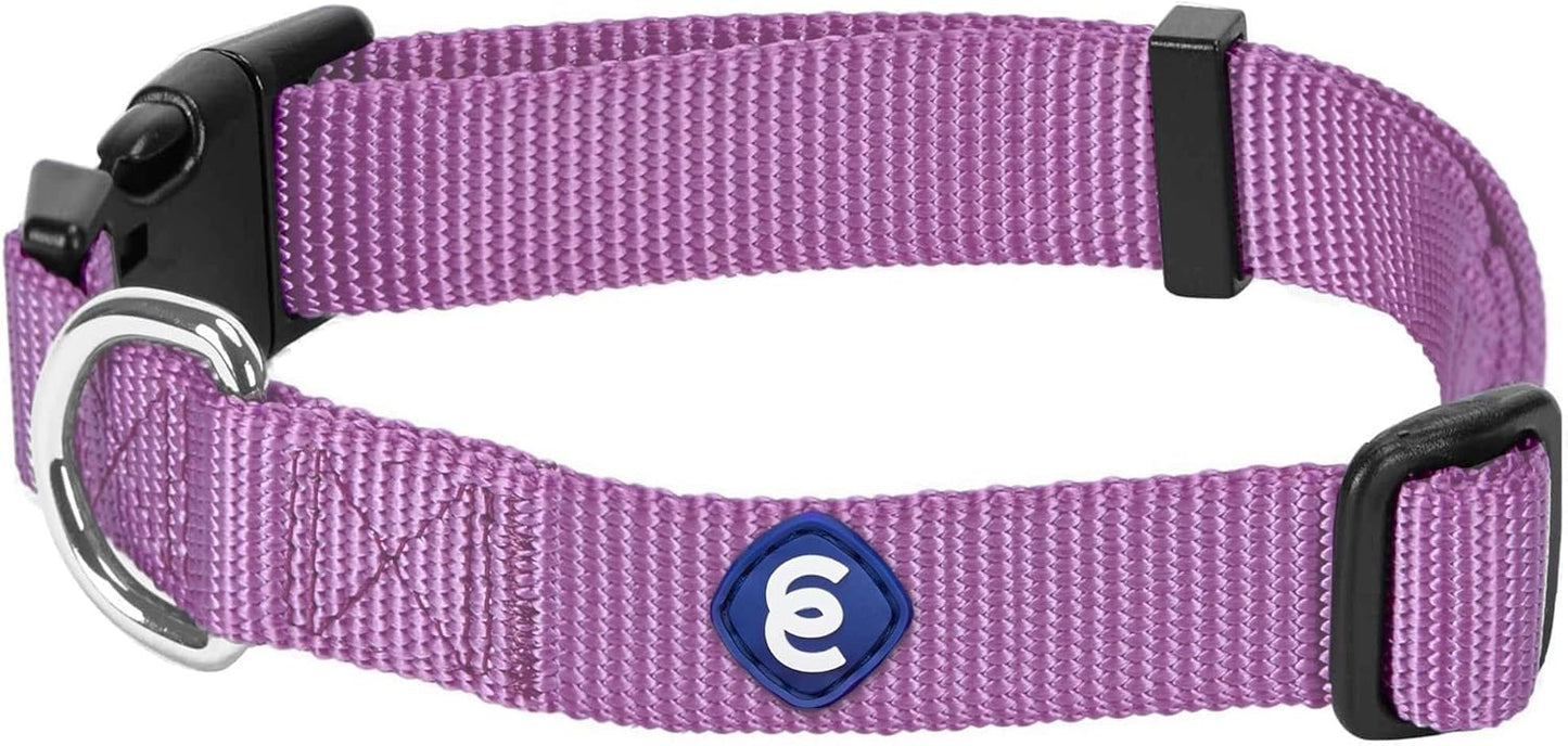 Blueberry Pet Essentials Matching Medium Dog Collar | Adjustable Classic Solid Color Nylon Dog Collars for Medium Dogs | Purple Dog Collar for Medium Dogs