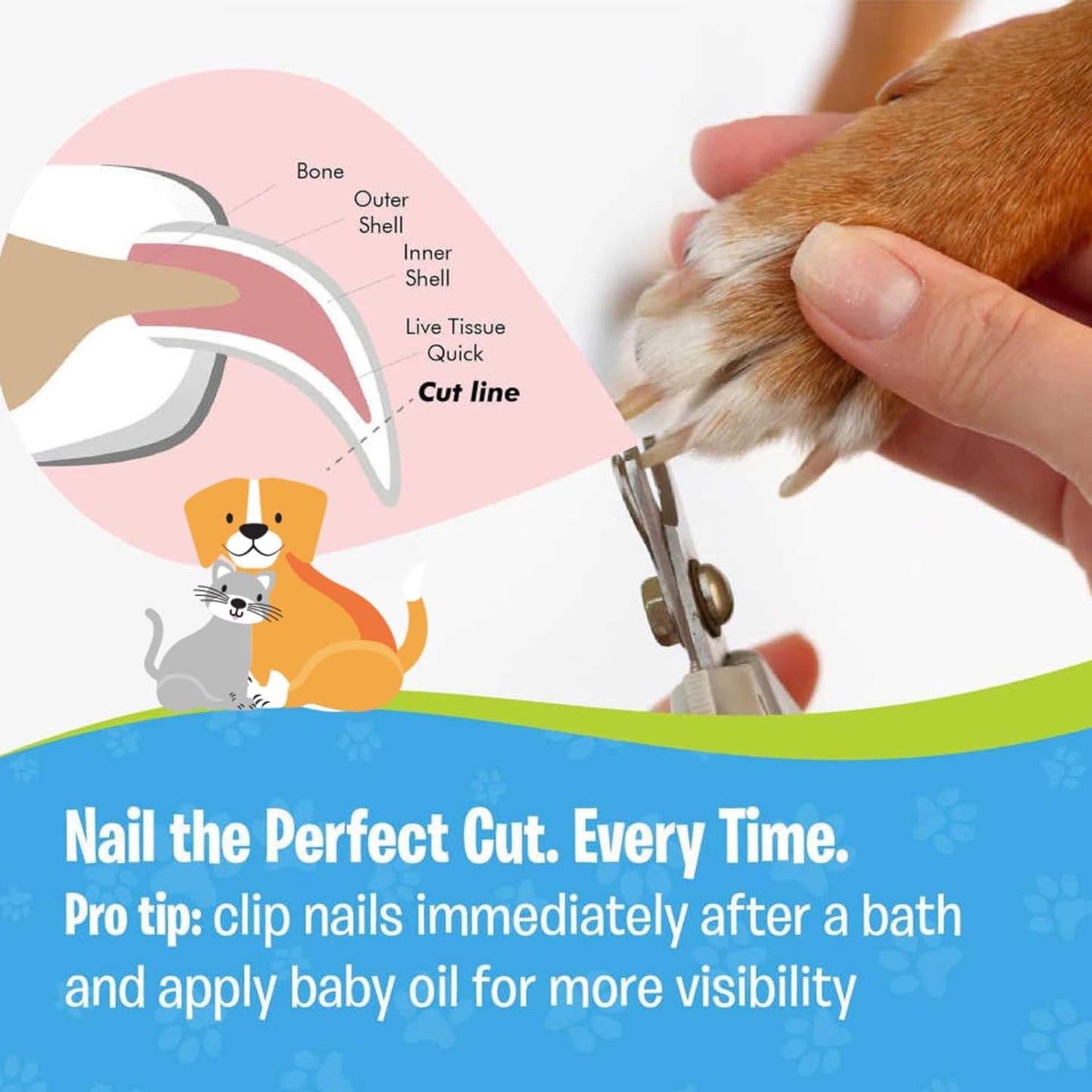 Pet Nail Clippers, Stainless Steel, Ergonomic Non Slip Design, Safe Home Pet Grooming for Cats and Dogs (Pink)