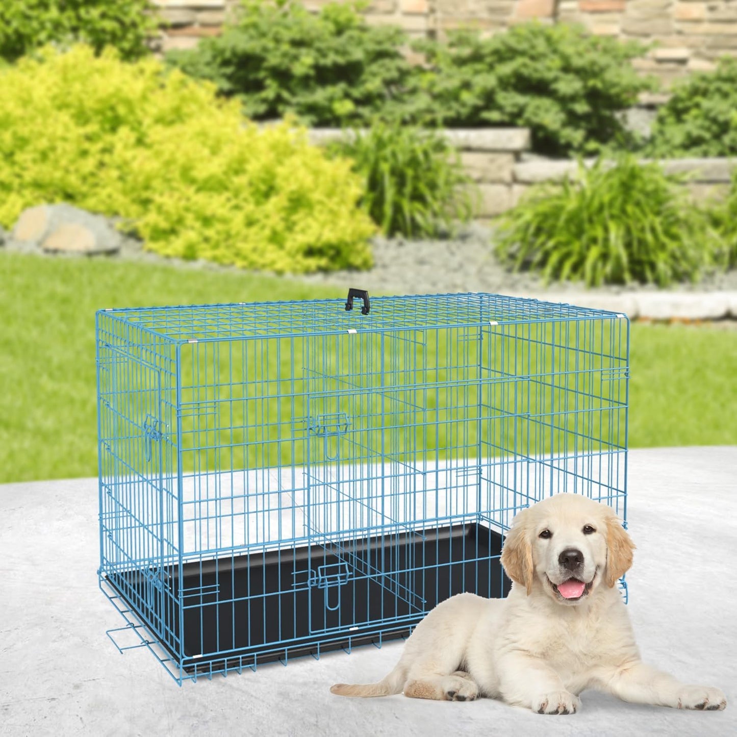 BestPet | Dog Crate | 24" | Blue | Foldable Metal Kennel with Double Doors, Secure Slide-Bolt Latches, Leakproof Tray | Portable Dog Cage for Small Breeds | for Travel, Indoor & Outdoor Use