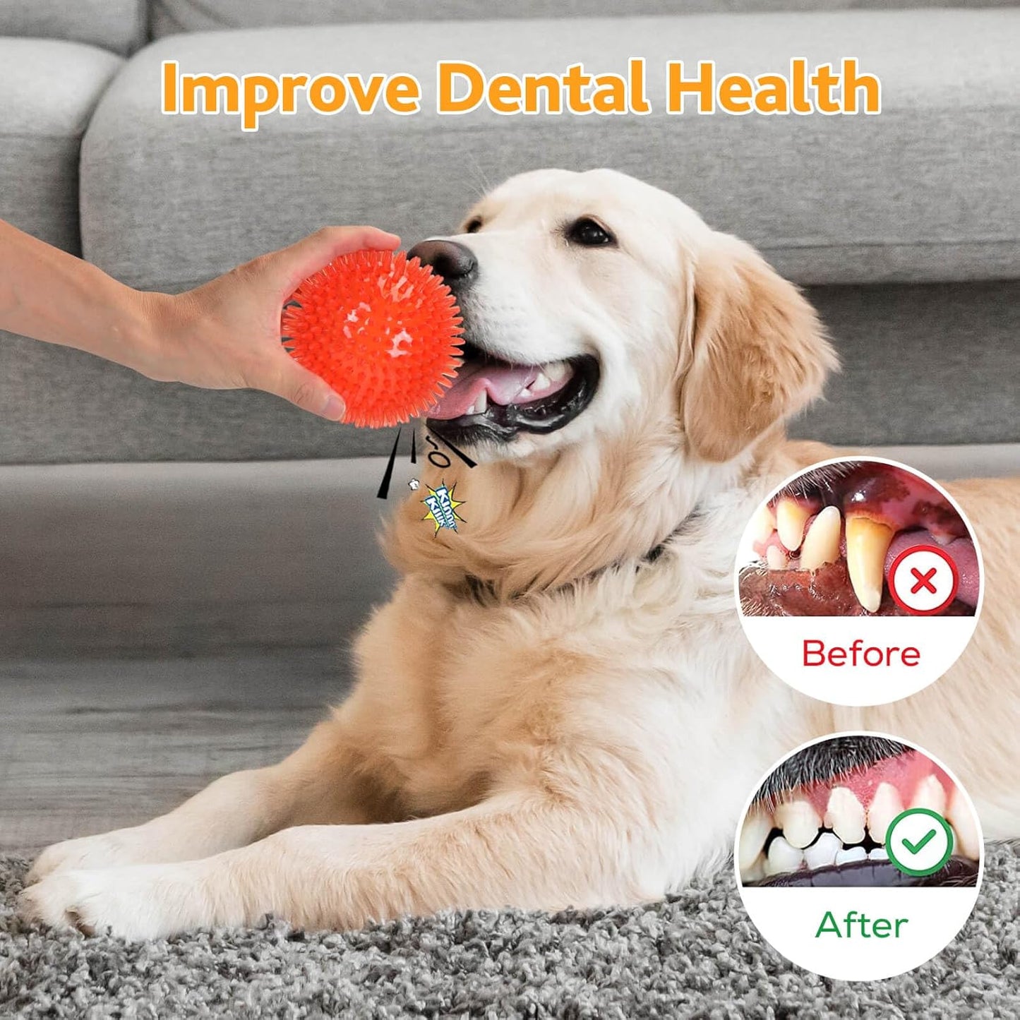 Petizer 2-Pack 4.5" Squeaky Dog Toy Balls, Floating Pool Balls, Spiky Balls, Interactive Fetch Toys for Puppy, Chew Toys (Large Dog)