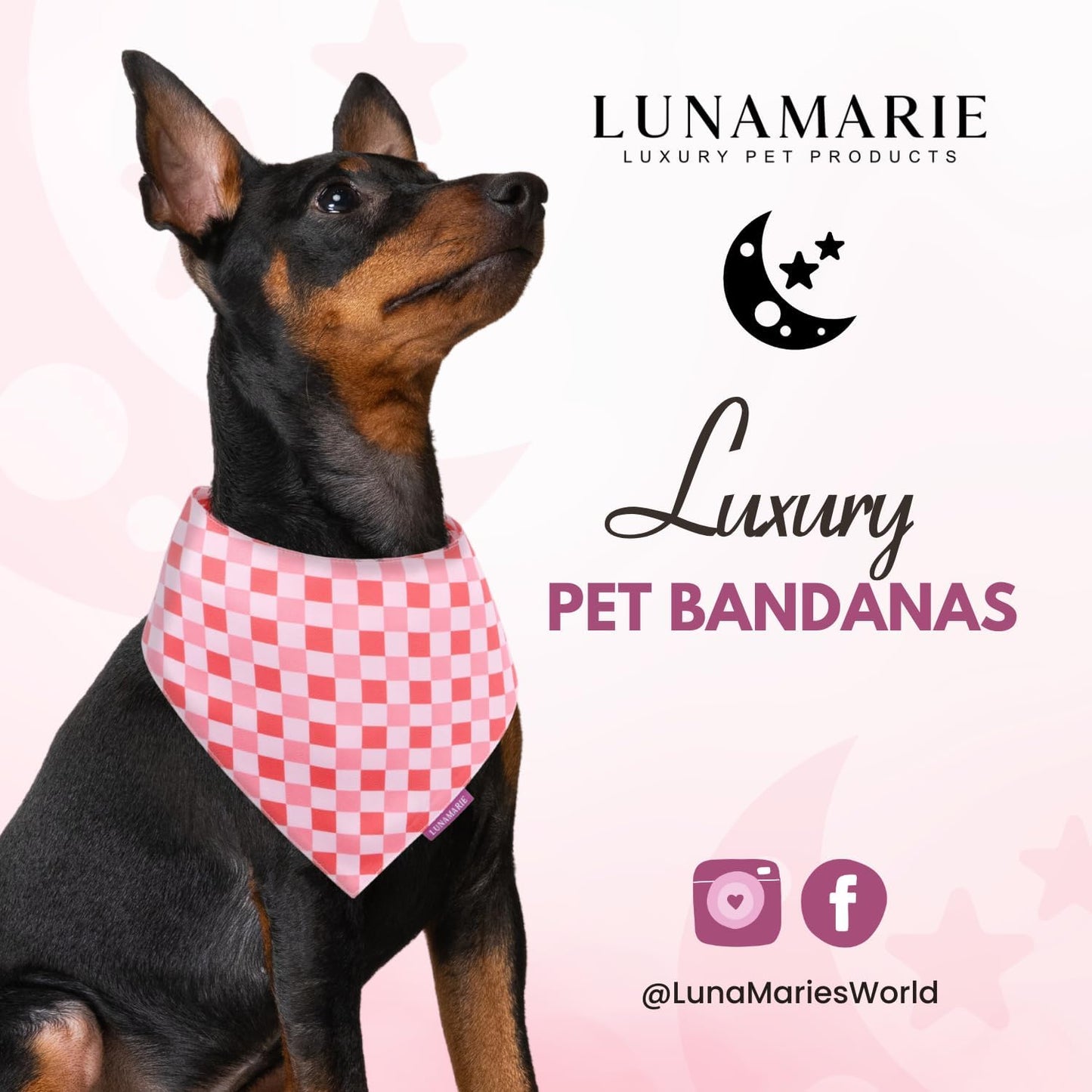 LunaMarie - Luxury Pet Birthday Bandanas -Premium & Silky Poly Fabric | 100% Handmade | Custom Shape Dual Layered (Rebel, Medium)
