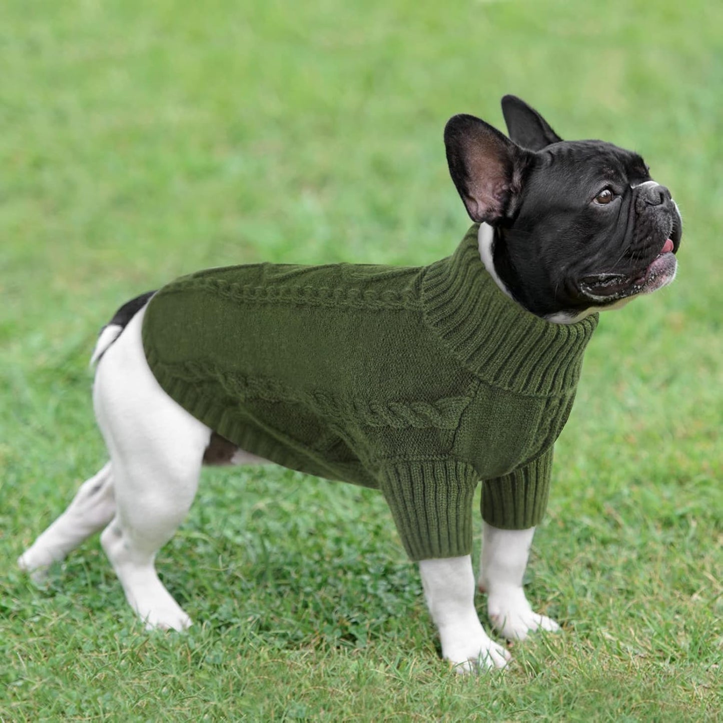 Queenmore Small Dog Pullover Sweater, Cold Weather Cable Knitwear, Classic Turtleneck Thick Warm Clothes for Chihuahua, Bulldog, Dachshund, Pug (Army Green, Large)