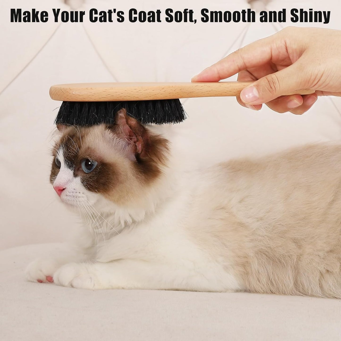 Boar Bristle Cat Brush with Wooden Handle, Soft and Gentle, Reduce Shedding, Make Coat Soft, Smooth and Shinny, Daily Grooming Tool for Short Haired Cats, Kitten