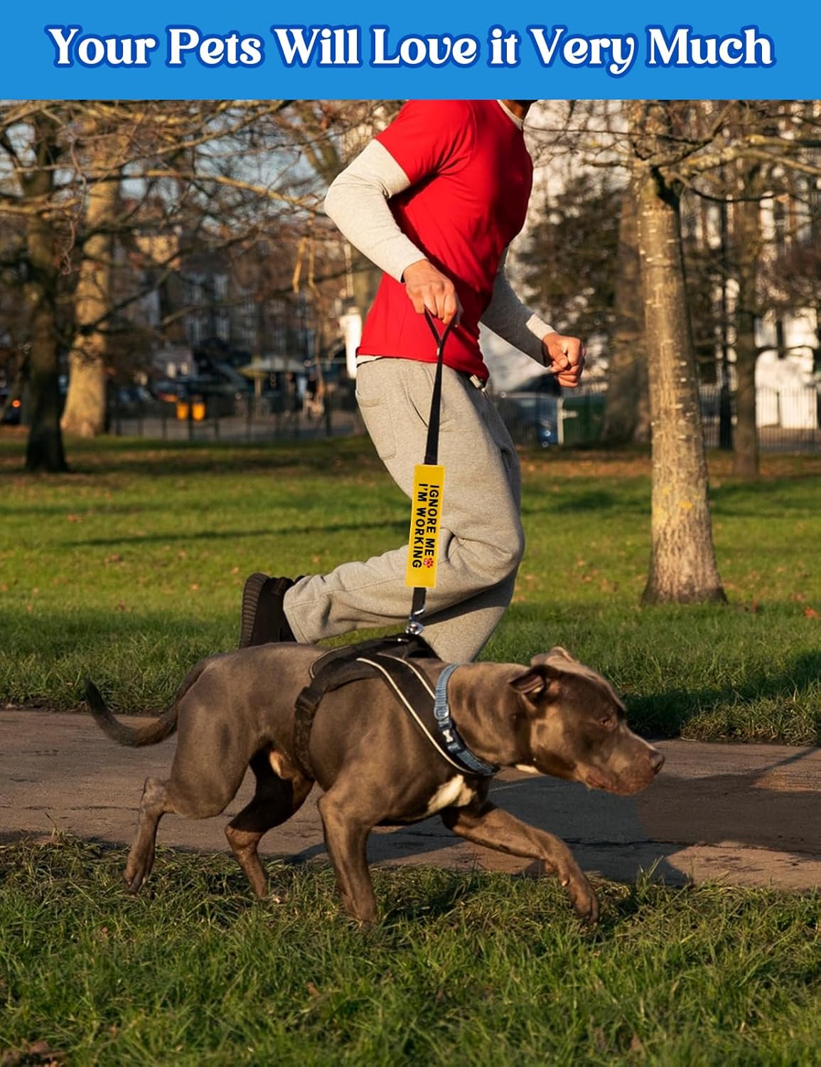 Ignore Me I'm Working Dog Leash Sleeve, Funny Yellow Dog Alert Hanging ID Patch Tag, Do No Pet Leash Wrap Pet Birthday Gifts