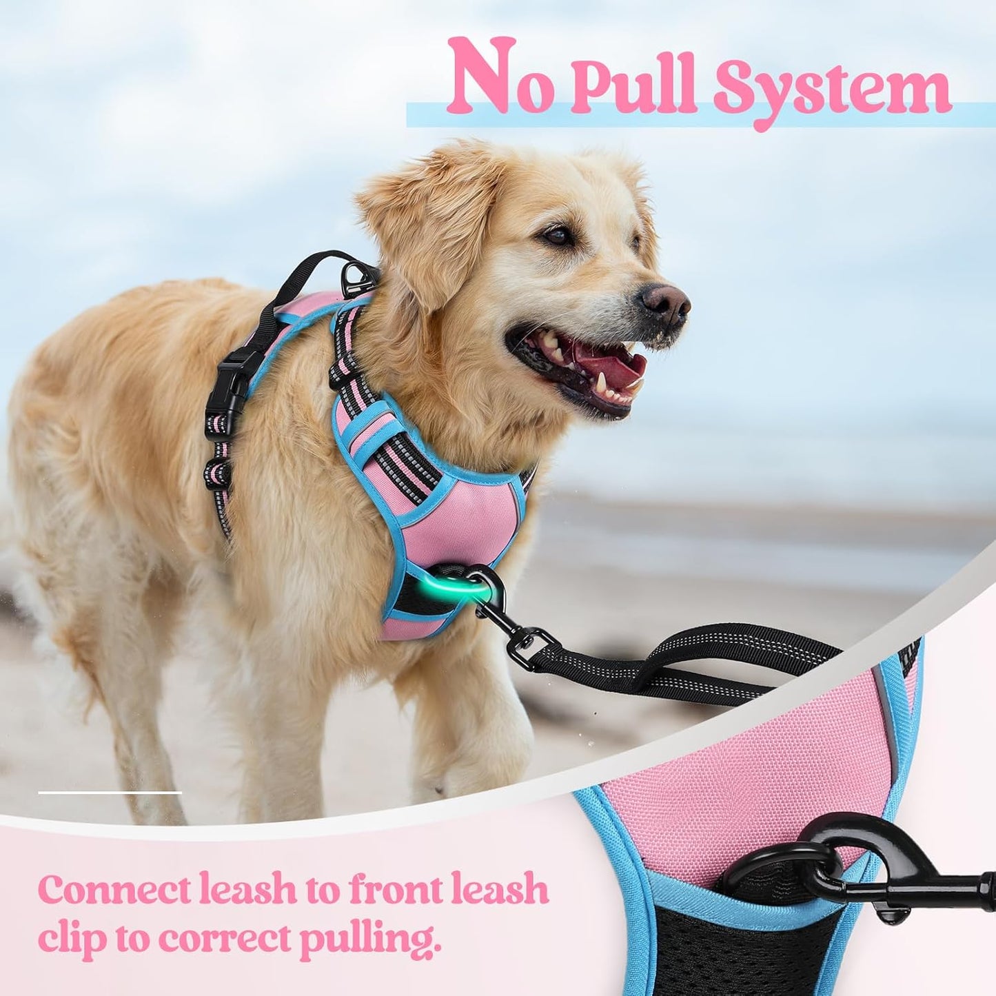 rabbitgoo Dog Harness No Pull with 2 Leash Clips, Adjustable Soft Padded, Reflective Oxford No Choke Pet Vest with Easy Control Handle for Large Dogs, Pink & Blue, XL
