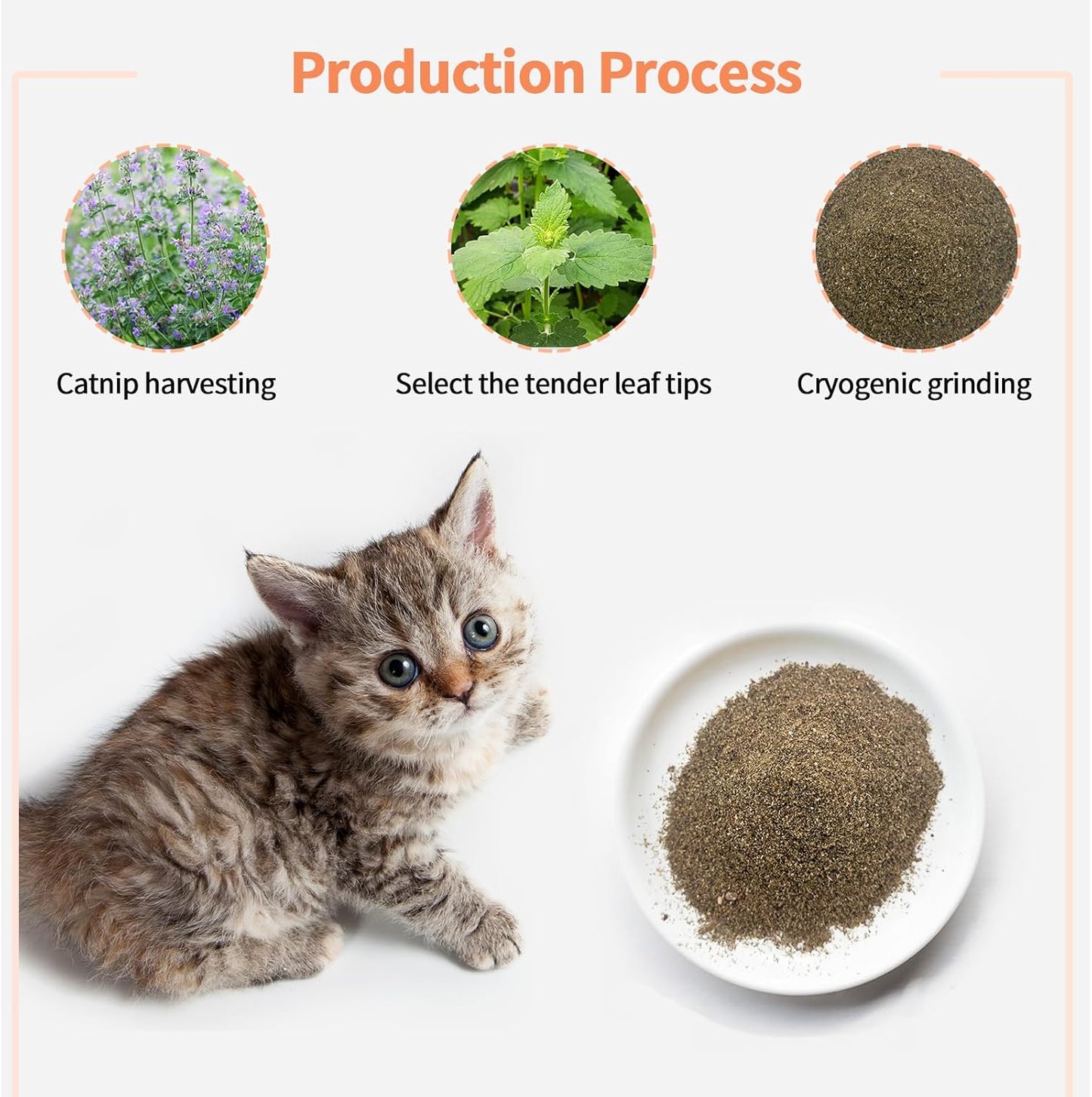 Premium Catnip for Cats & Kittens – Cold-Processed, High Potency Nepetalactone, 100% Pure Organic Leaf-Only Catnip for Toys, Scratchers, Refills, Stimulates Play & Protects Furniture - 45g