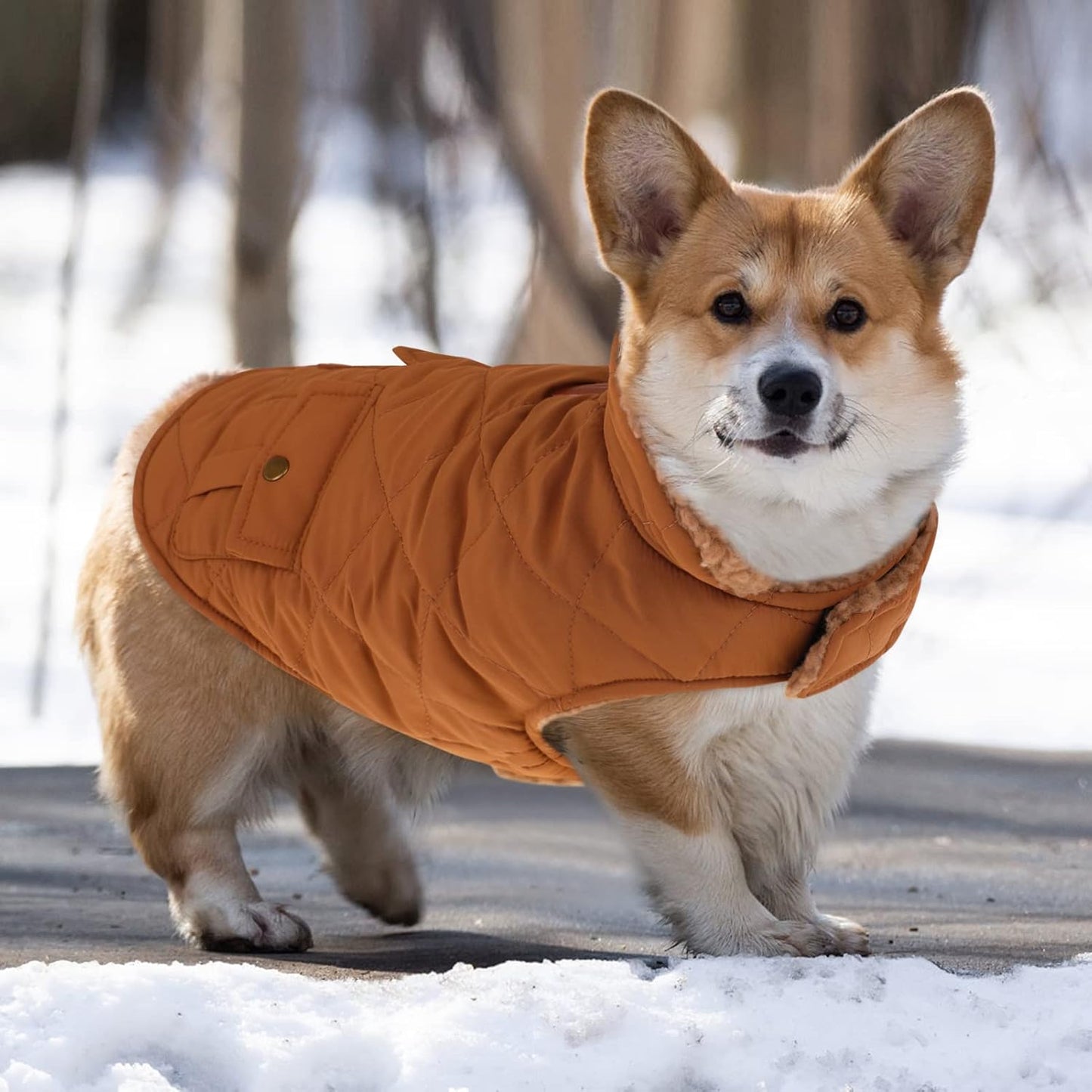Queenmore Warm Dog Coat, Cold Weather Puffer Dog Jacket with Ultra Thick Plush Lining and Storage Pockets (Brown, Medium)