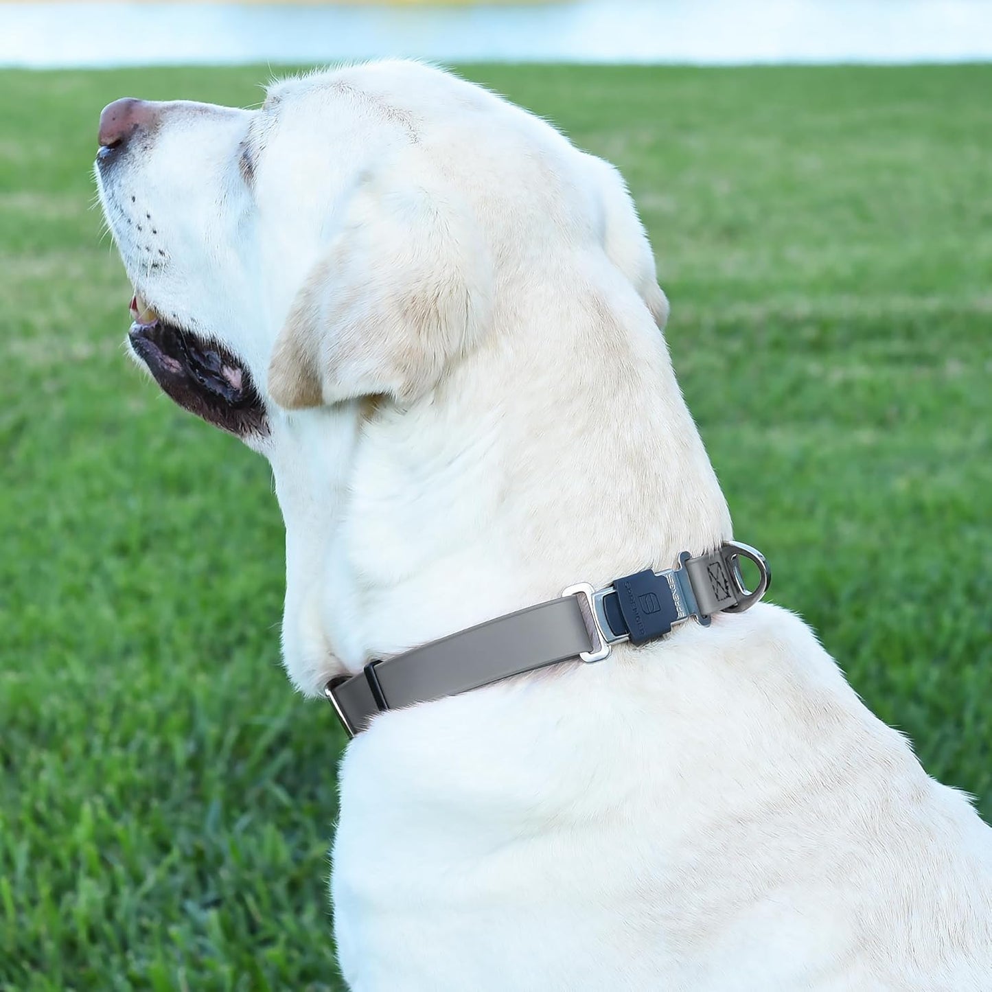 Dogline Biothane Waterproof Dog Collar with Herm Sprenger Stainless Steel Quick Release Buckle – Heavy Duty Tactical Durable Collar for Dogs – Comfortable and Safe Pet Collar, W 1" L 15-25", Gray