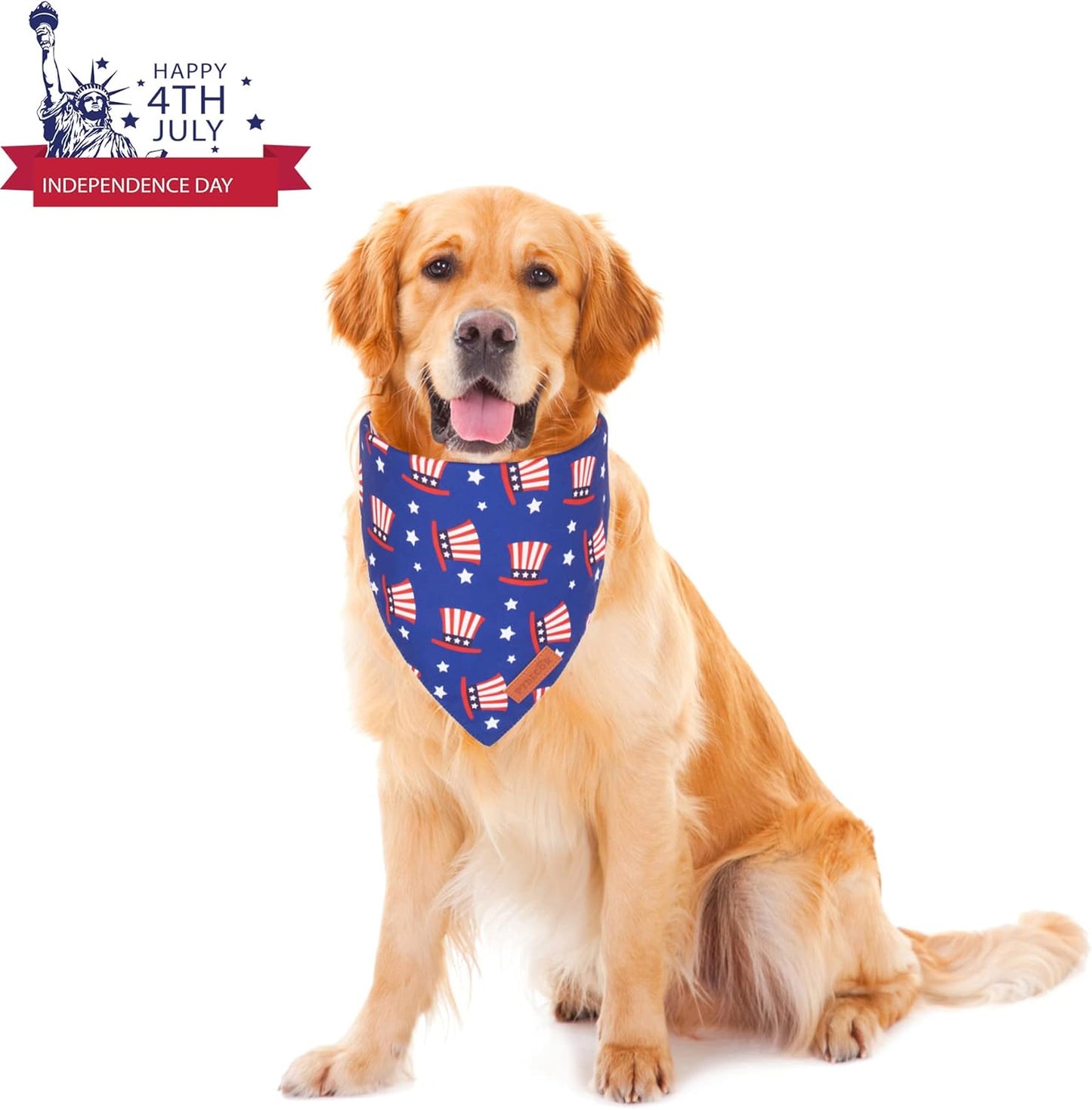 PTDECOR American US Flag Dog Bandana 4th of July Dog Bandanas Reversible Triangle Bibs Scarf for Small Dogs (Style 1, Small)