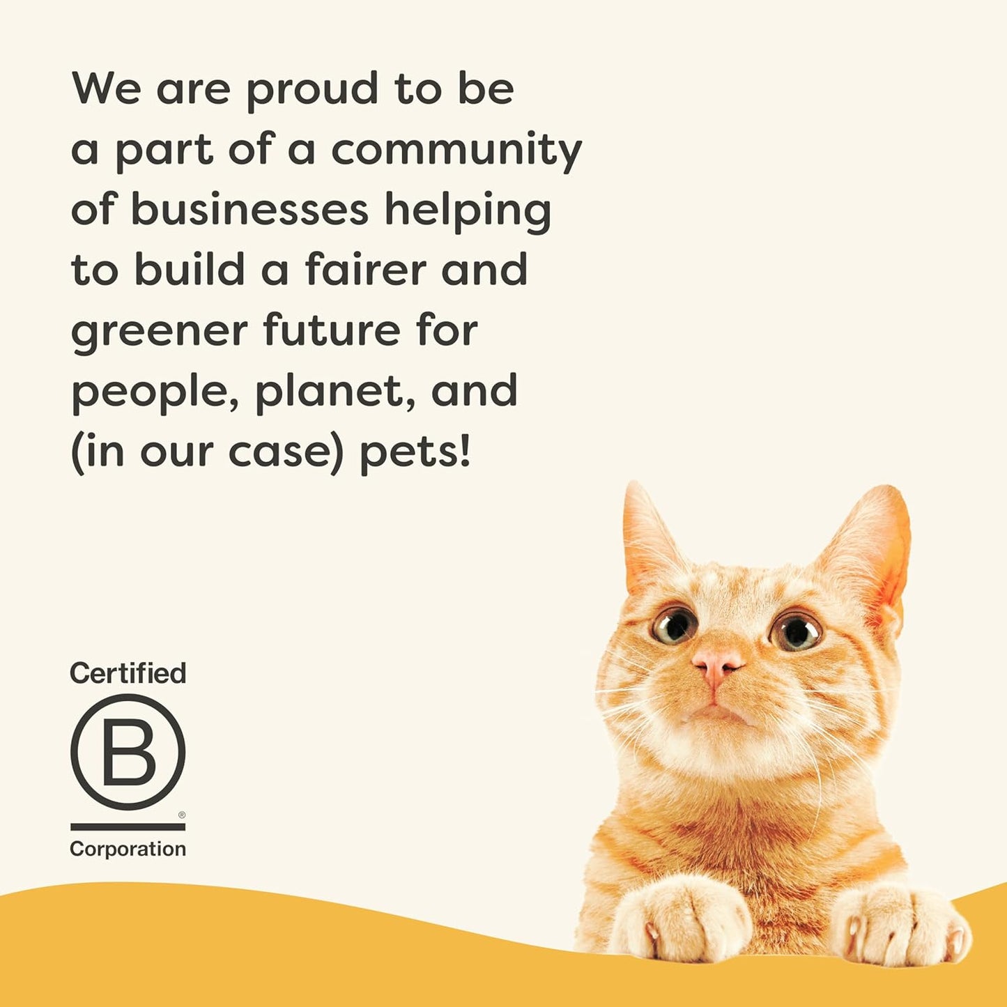 Applaws Vitality Wet Cat Food Paté, Natural Canned Cat Food, Wet Food for Cats with Added Vitamins and Minerals, Grain Free, Carrageenan Free, Chicken Breast (24 Count, 5.5oz Cans)