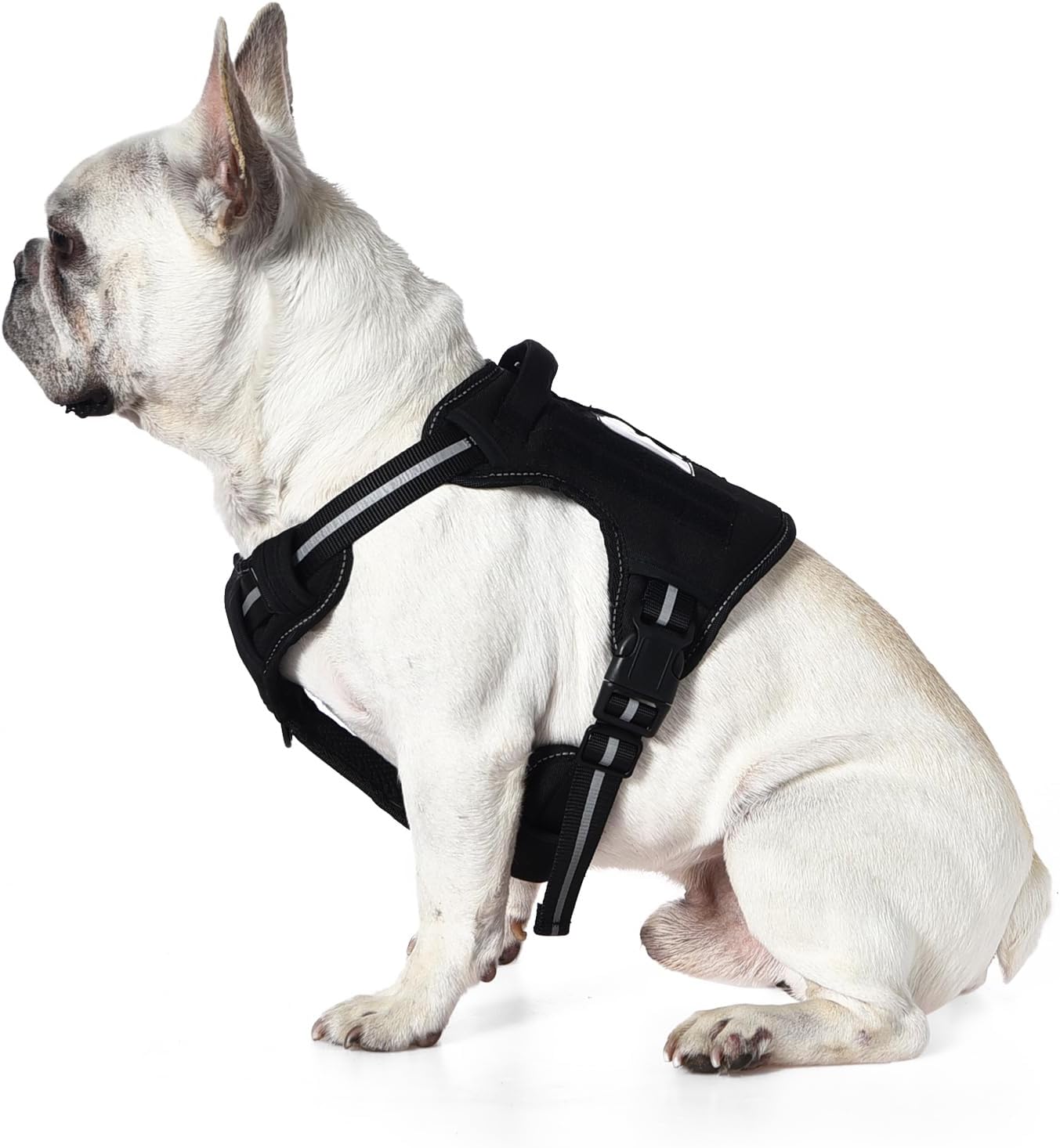 Amazon Basics No Pull Dog Harness, Adjustable Front Clip, Tactical Vest, Medium, Black