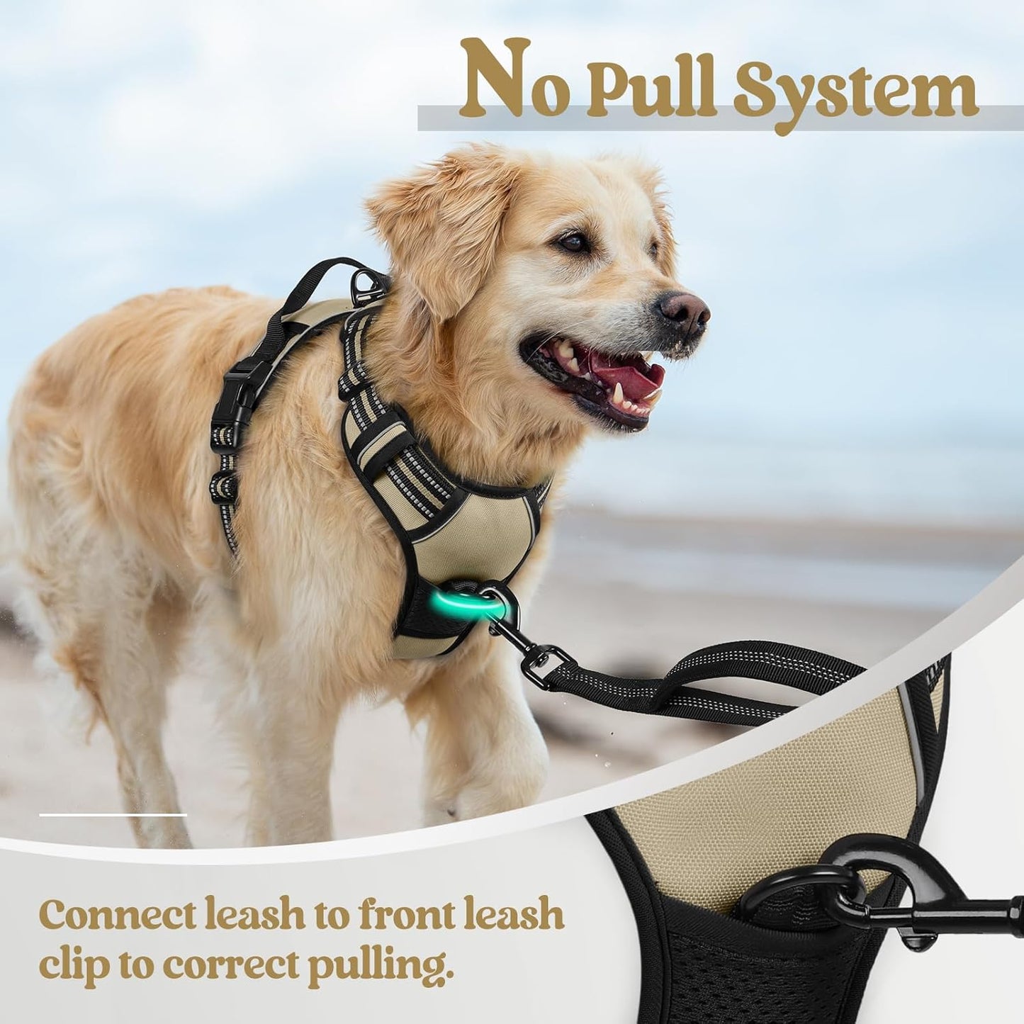 rabbitgoo Dog Harness No Pull with 2 Leash Clips, Adjustable Soft Padded, Reflective Oxford No Choke Pet Vest with Easy Control Handle for Large Dogs, Beige, XL