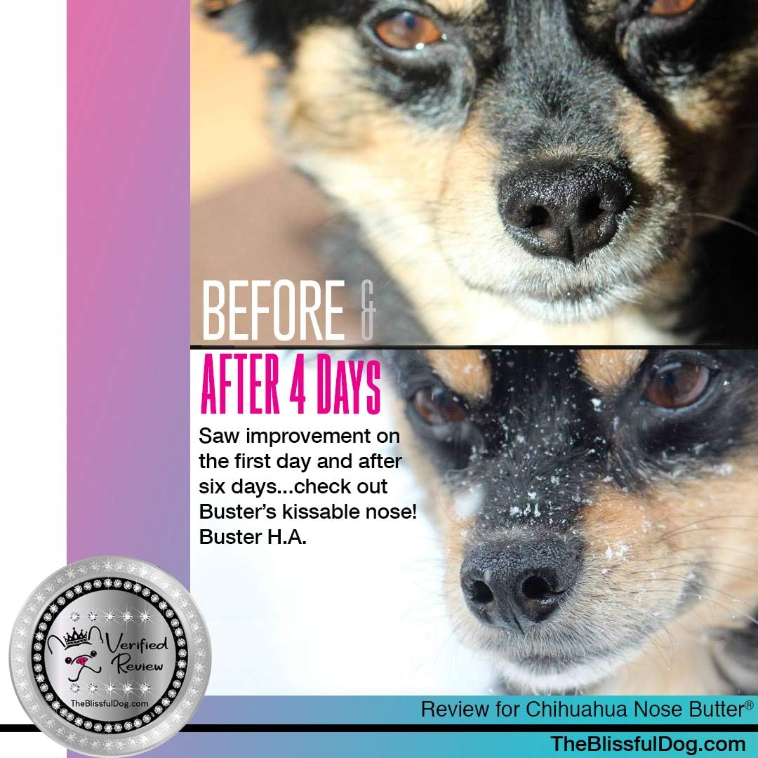 The Blissful Dog Long Coat Chihuahua Nose Butter for Dry, Cracked Skin, Lick-Safe Dog Nose Balm with Moisturizing Shea Butter, Almond, Olive, and Essential Oils, Pet Supplies, Uncented, 0.15 oz.