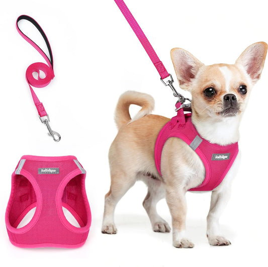 rabbitgoo Dog Harness Small Sized and Leash Set, Step in Soft Light Puppy Vest, Breathable Mesh Pet Harness, Reflective for Safe Easy Walking, Rose Red XXS