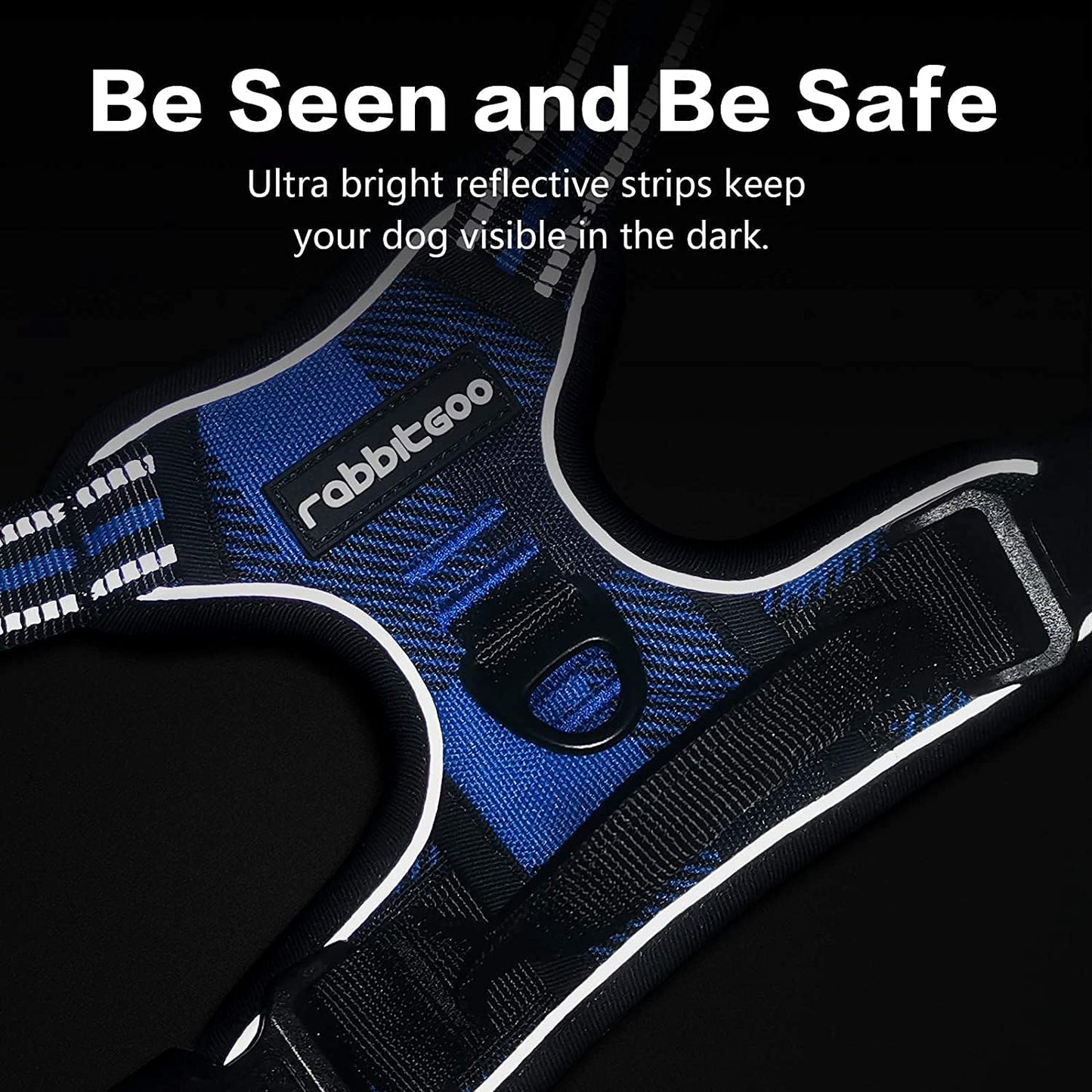 rabbitgoo Dog Harness No-Pull, Comfortable Padded Plaid Harness with Handle Easy Control, Adjustable Reflective Pet Vest with 2 Leash Clips for Small Dog, Blue Plaid, S