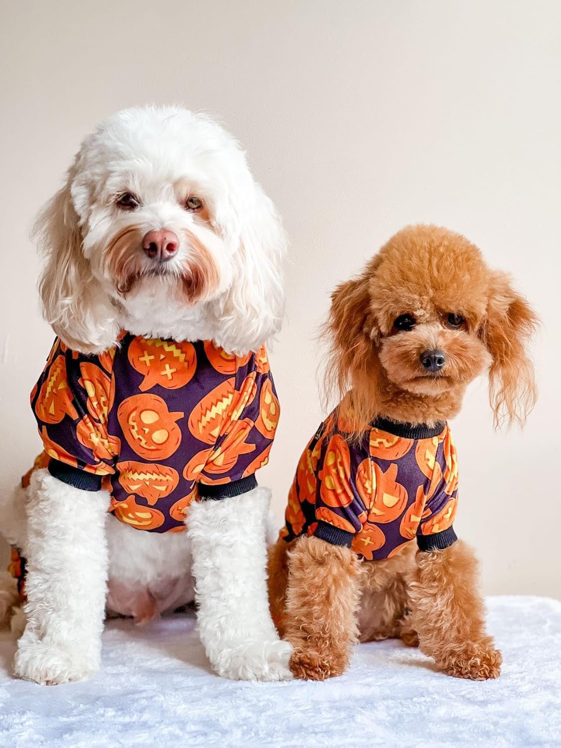 Fitwarm Halloween Pumpkin Dog Pajamas, Funny Dog Winter Clothes for Small Dogs Girl Boy, Pet Jumpsuit, Cat Halloween Costumes with Feet, Lightweight Velvet, Black, Orange, Small