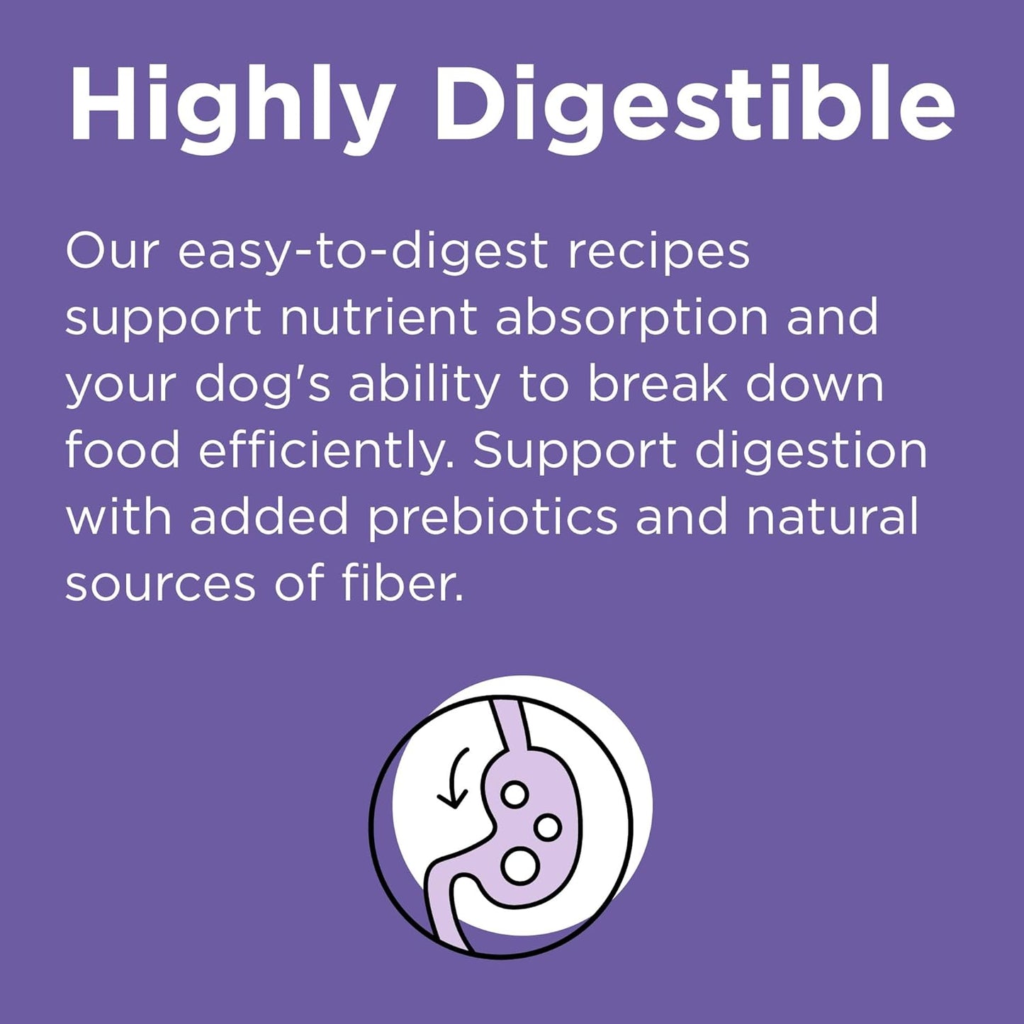 BIXBI Rawbble Dry Dog Food, Lamb, 4 lbs - USA Made with Fresh Meat - No Meat Meal & No Corn, Soy or Wheat - Freeze Dried Raw Coated Dog Food - Minimally Processed for Superior Digestibility