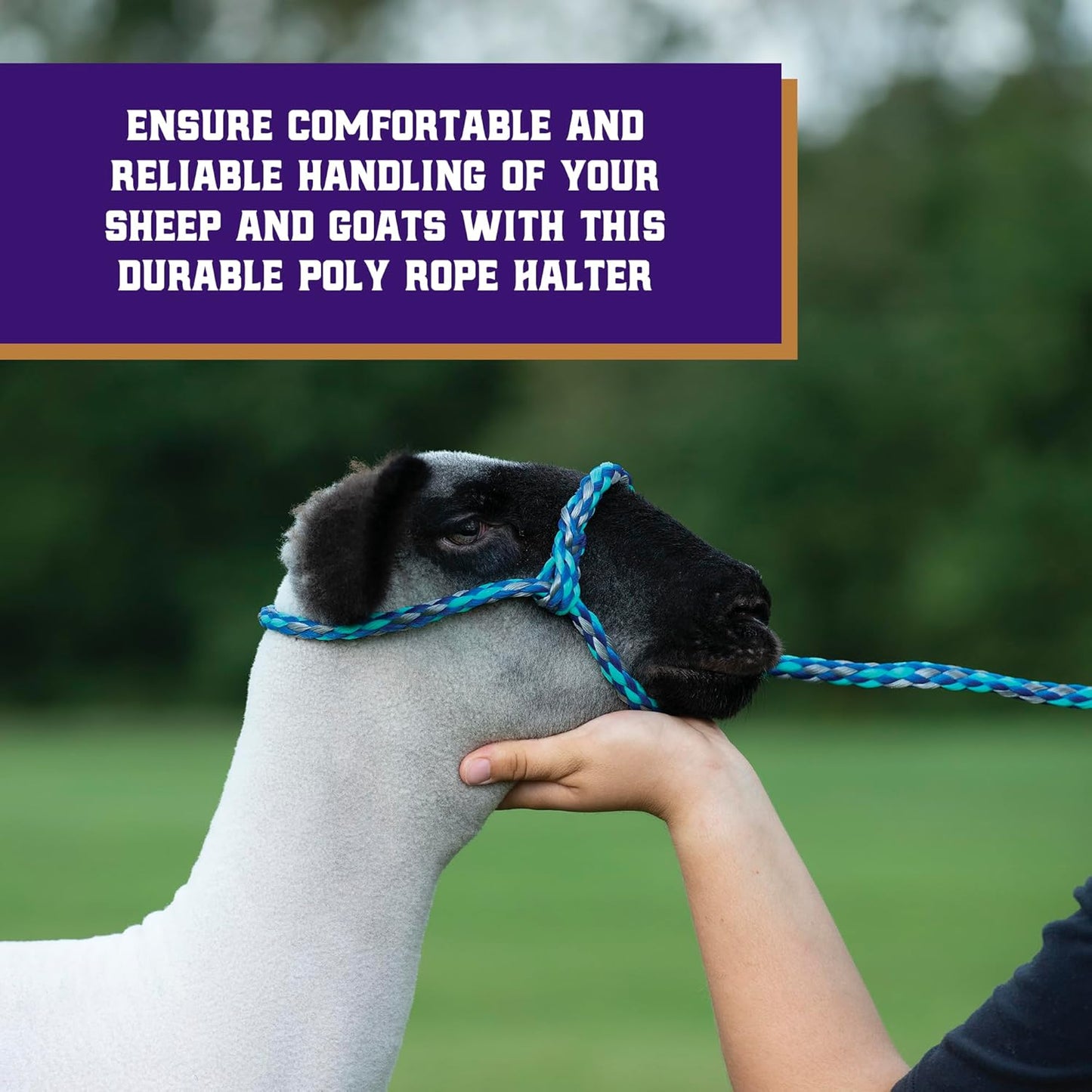 Weaver Leather Poly Rope Sheep Halter, Blue/Mint/Gray