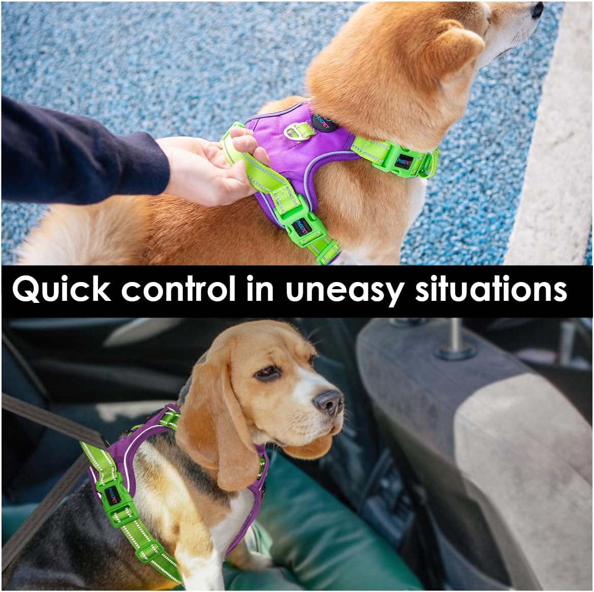 PHOEPET No Pull Dog Harness, Unique Colors Reflective Adjustable Dog Vest, with Soft Training Handle Metal Clips for Small Medium Large Dogs (Purple Base & Green Straps,XS)