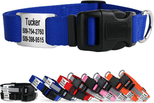 GoTags Personalized Dog Collar with Nameplate, Adjustable Dog Collar with Custom Engraved Slide On Pet ID Tag in Stainless Steel, Silent, No Noise Dog Tag for Large Medium and Small (Blue, Medium)
