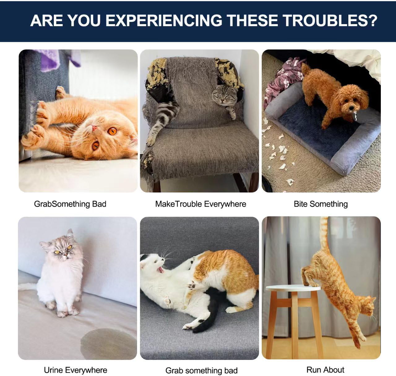 Cat Deterrent Spray - Safe Indoor & Outdoor Deterrent for Furniture Protection, Effective Training Aid with Natural Ingredients - Non-Toxic Anti-Scratch Formula (Blue, M)