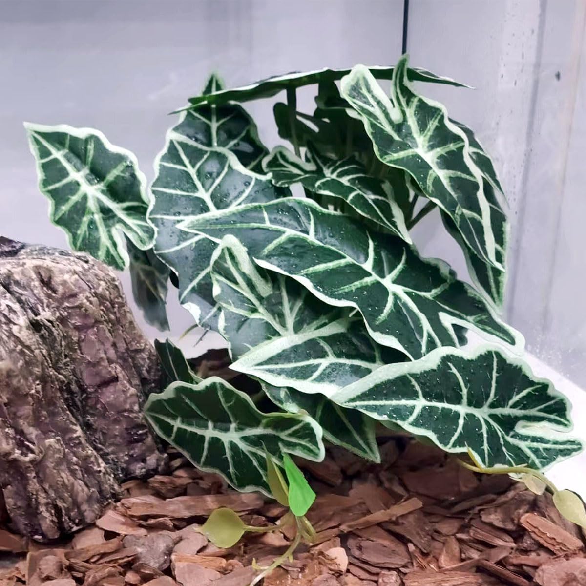 Reptile Plants,Terrarium Decor,Amphibian Habitat Decor,Artificial Plants for Gecko Chameleon Snake Tortoise Tank Accessories with Base(Alocasia)