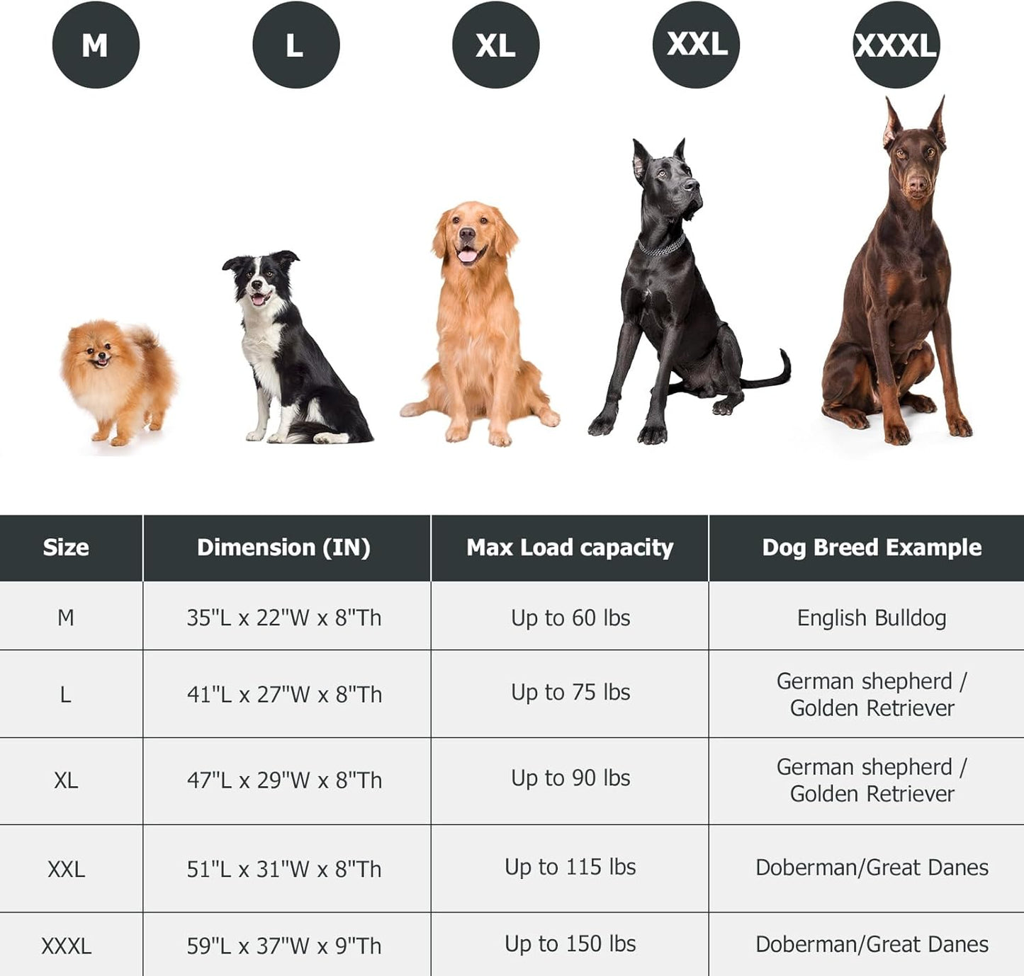 Elevated Dog Bed for Outdoor, XL Raised Dog Cot with Washable Mesh, Cooling Pet Cot Chew Proof for Outside Camping, 47 inch Grey