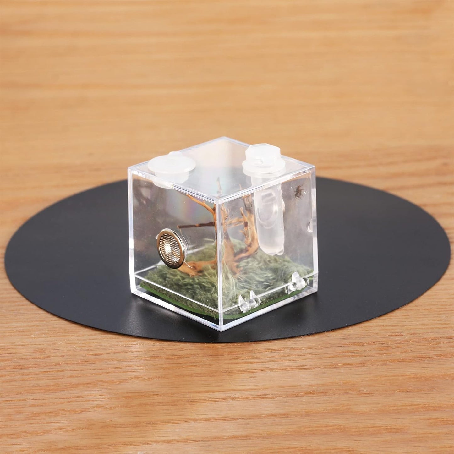 crapelles Jumping Spider Micro Middle Habitat, Small Pet Insect Breeding Box, 360 Degree Transparent Reptile Cage, Acrylic Case Mini Carrier for Amphibians, Feeding Container Enclosure Accessories