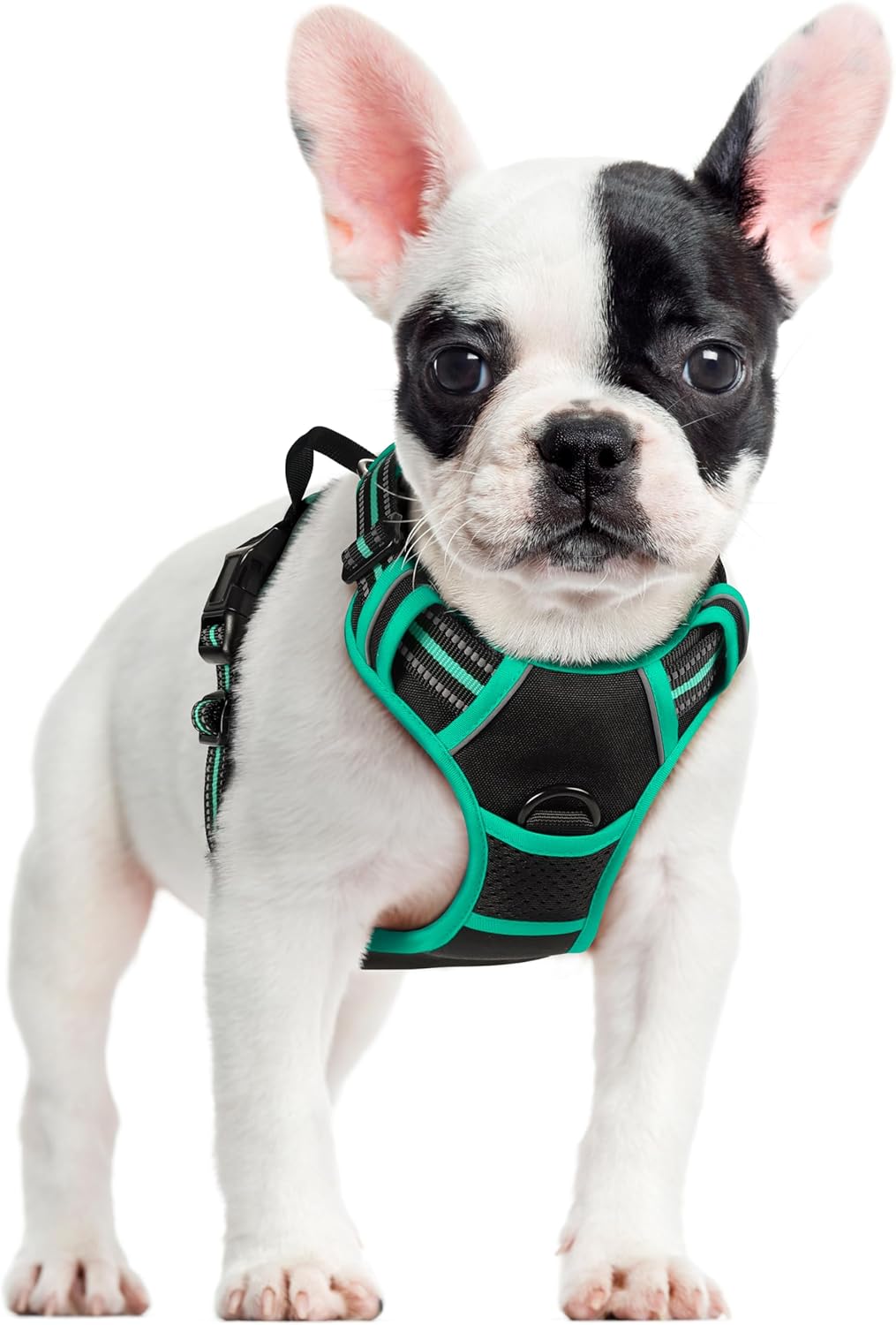 rabbitgoo Dog Harness No Pull with 2 Leash Clips, Adjustable Soft Padded, Reflective Oxford No Choke Pet Vest with Easy Control Handle for Small Dogs, Black & Turquoise, S