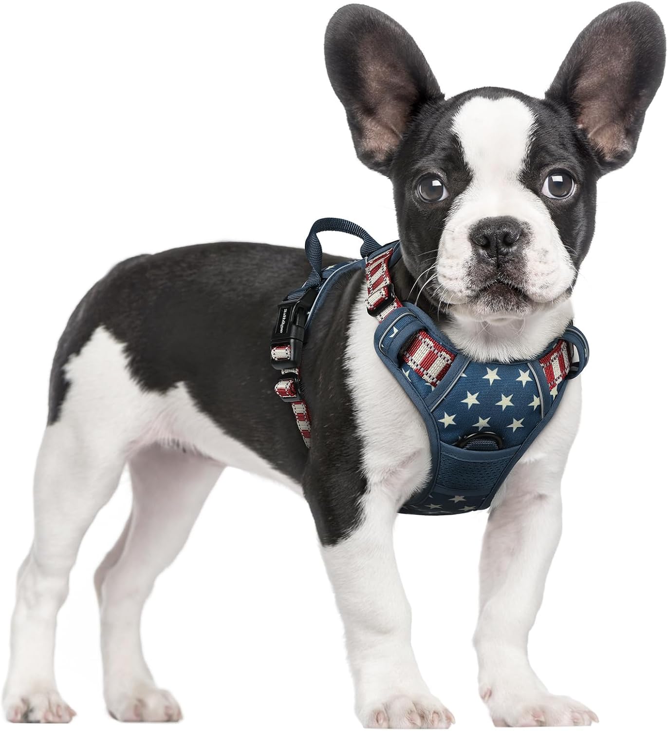rabbitgoo Dog Harness No Pull with 2 Leash Clips, Adjustable Soft Padded, Reflective Oxford No Choke Pet Vest with Easy Control Handle for Large Dogs, Blue Star, S