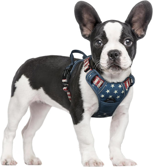 rabbitgoo Dog Harness No Pull with 2 Leash Clips, Adjustable Soft Padded, Reflective Oxford No Choke Pet Vest with Easy Control Handle for Large Dogs, Blue Star, S