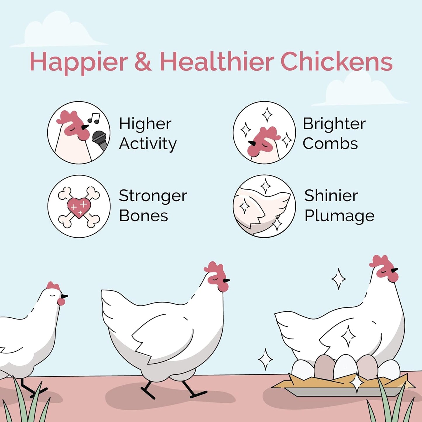 Organic Chicken Feed – Layer Whole Grain, Non-GMO, USA Grown, 16% Protein, Corn-Free, Soy-Free, Non-Medicated Feed for Chickens, 23 lbs