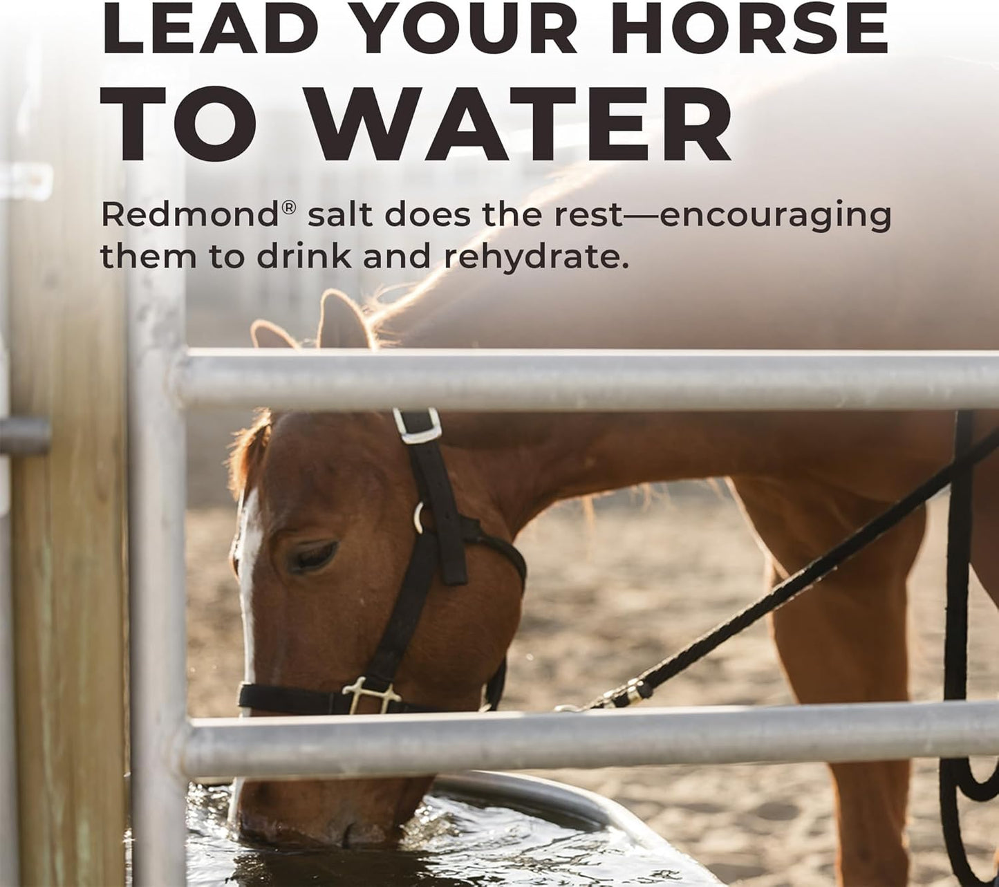 Redmond Daily Red | Horse Vitamins and Minerals Supplement - 25 LB Bag