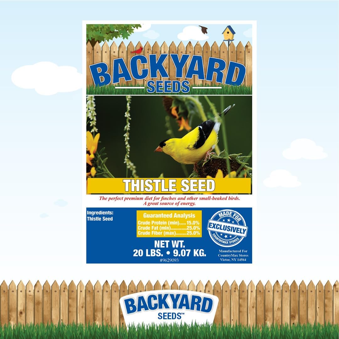 Thistle Seed for Finches – Premium Wild Bird Food for Goldfinches, Siskins & Small Songbirds | High-Energy, No-Filler, Cleaned Seed