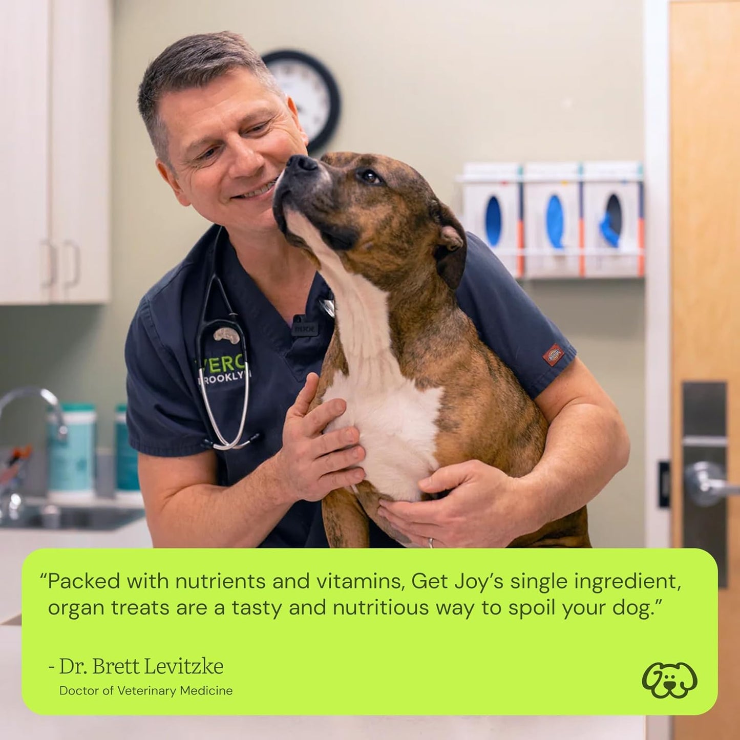 Get Joy Freeze Dried Superfood 100% Beef Heart Dog Treats, 4 Ounce Bag (Pack of 3), Single Ingredient Organ Meat, High Protein, Heart Health, Energy, Grain Free, Gluten Free, Made in USA