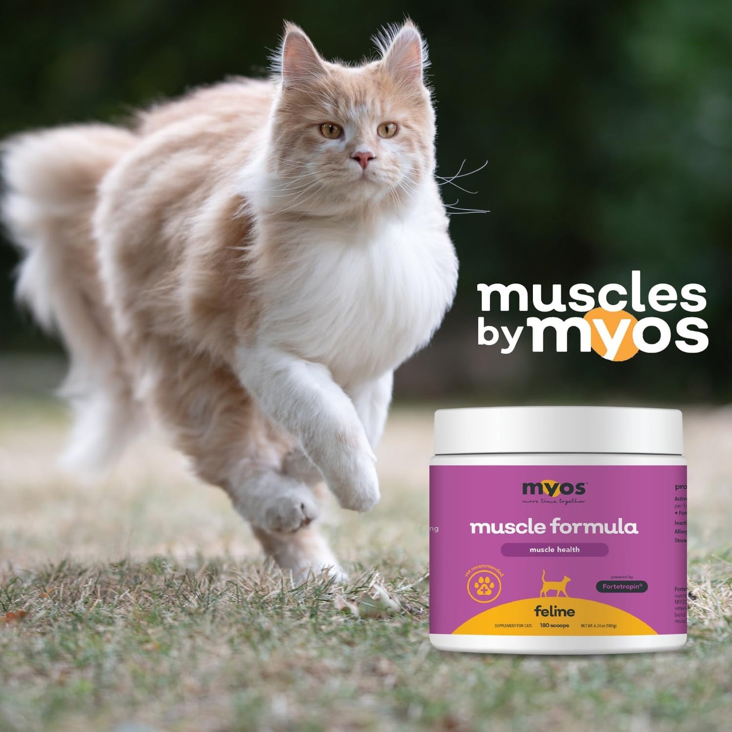Powered by Fortetropin for Senior Cats - Aids Weight Gain, Muscle Growth & Mobility Support - Natural, Cat Nutritional Supplement - 180 Servings