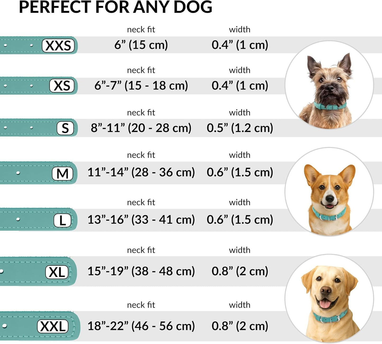 CollarDirect Rolled Leather Dog Collar, Soft Padded Round Puppy Collar, Handmade Genuine Leather Collar Dog Small Large Cat Collars 13 Colors (8-11 Inch, Mint Green Smooth)