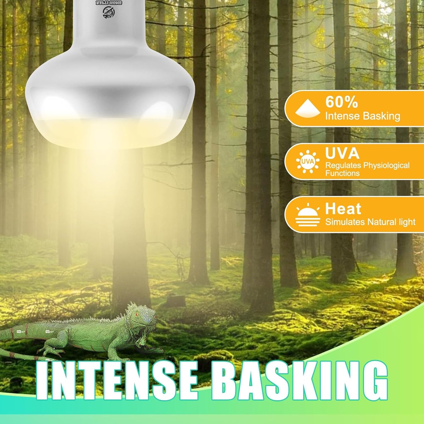 Reptile Heat Lamp 4Pack 100W, Intense Basking Spot Light Bulb with UVA, Simulate Natural Daylight Heat Bulb for Reptile, Turtle, Bearded Dragon, Lizard, Tortoise, Gecko, Snake