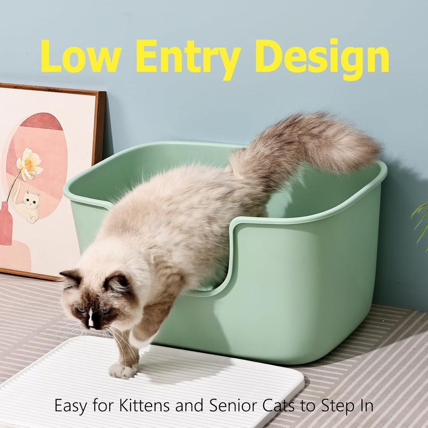 SpaceTime Extra Large Litter Box with High Sides,XL Low Entry Multi Cat Litter Pan for Kittens,Jumbo Litter Boxes for Big Cats,Anti-Splashing Cat Boxes for Indoor Cats,Easy to Clean (AvocadoGreen)