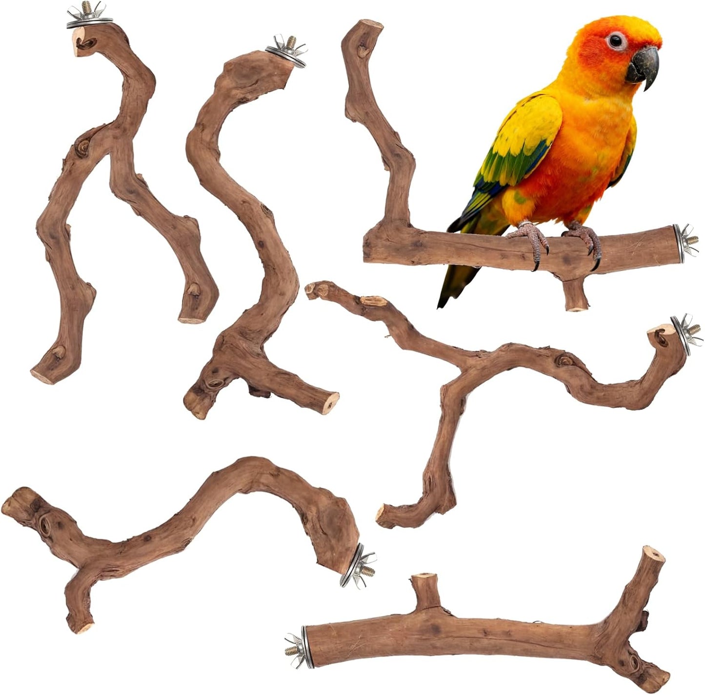 6-Piece Premium Bird Perch Stand with Natural Grape Wood Branch, Paw Grinding Fork, Chewing Stick, Cage Accessories for Parakeets, Budgies, Cockatiels, Finches, Lovebirds