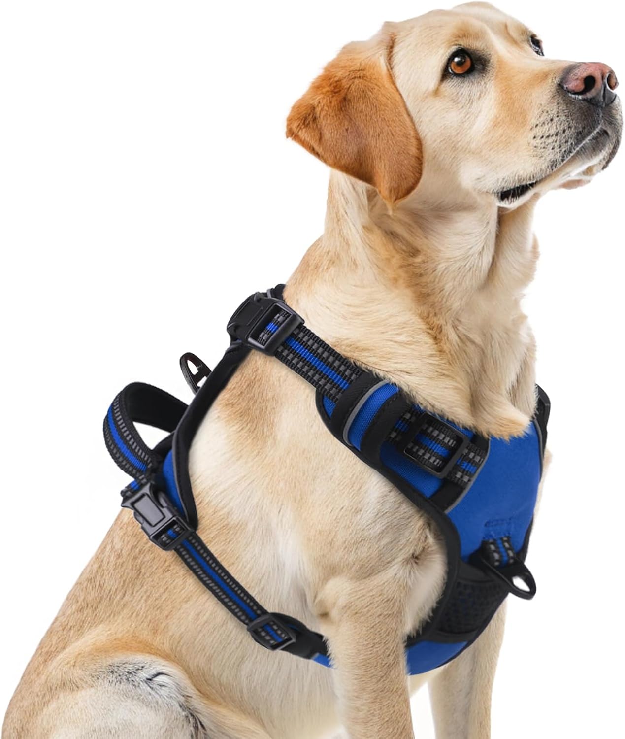 PUPTECK No Pull Dog Harness for Large, Adjustable Reflective Dog Harness with Handle Easy Control, Comfortable Soft Padded Pet Vest Harness for Large Dogs, Blue L