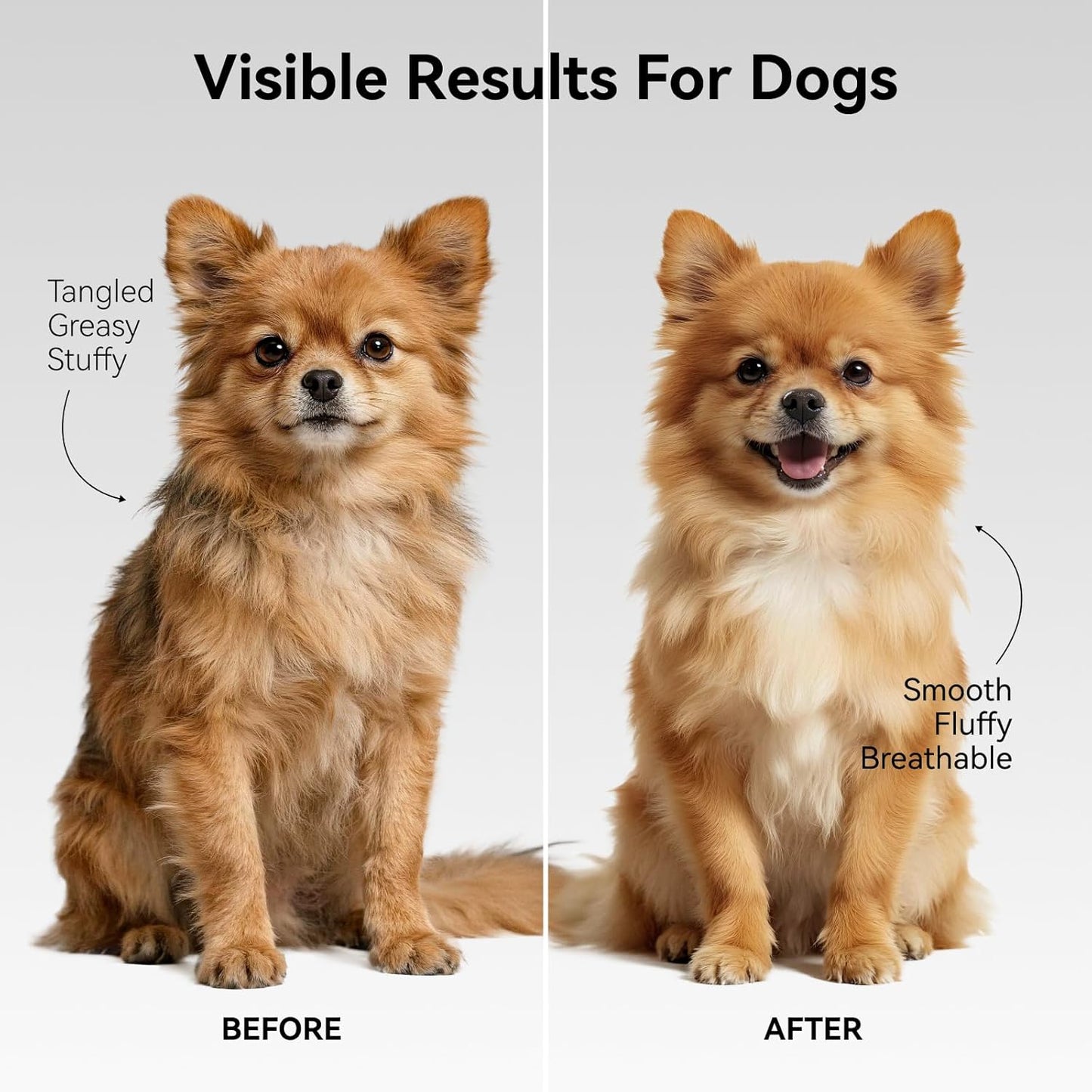 aumuca Undercoat Rake for Cats & Small/Medium Dogs – Deshedding Brush & Dematting Comb for Double-Coated Pets with Long or Short Hair, Matted Fur – Grooming Tool for Kitten, Puppy, Rabbit and Horse