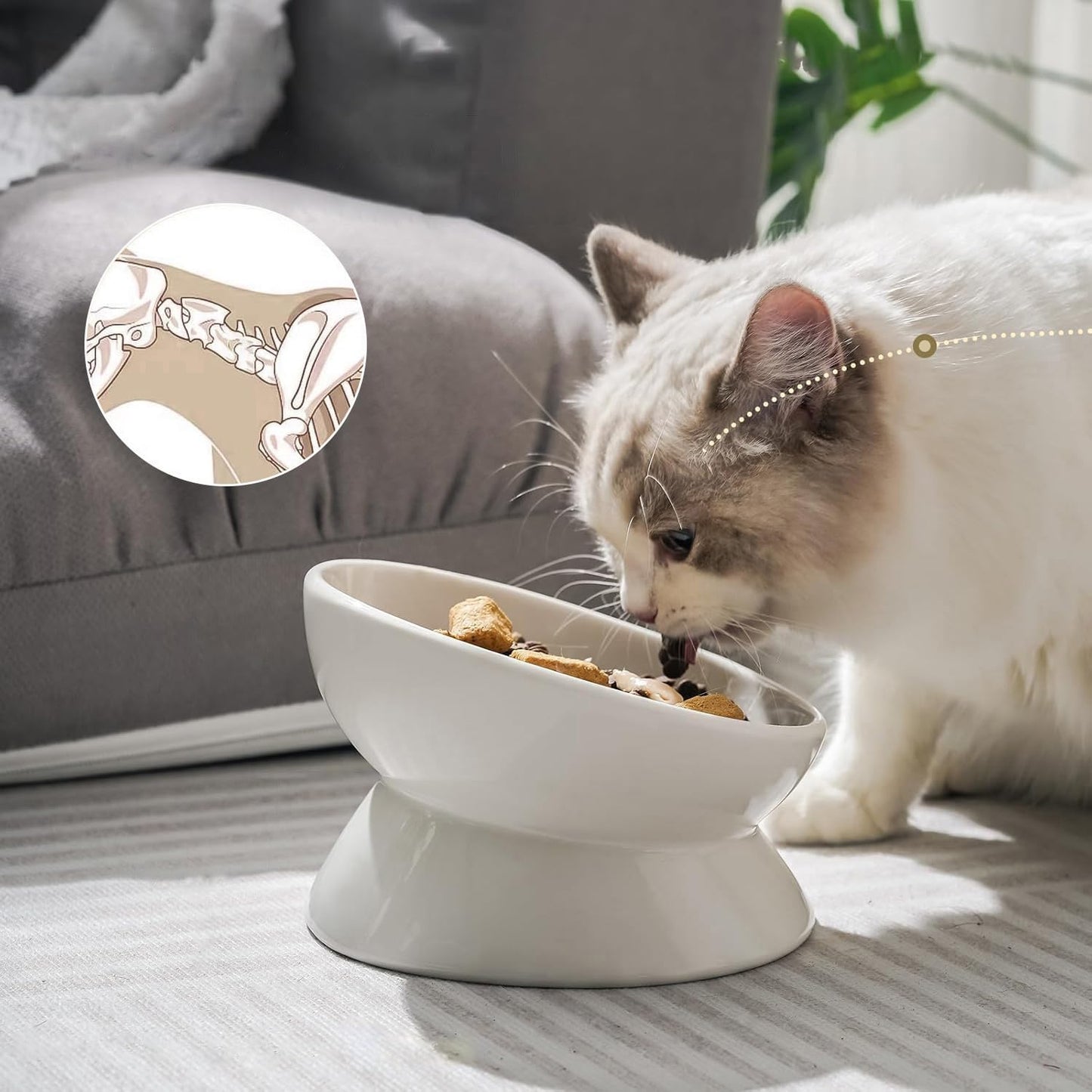YINGFAN Elevated Cat Bowls, 5oz Ceramic Raised Cat Bowl for Cats/Kittens with Tilted Design, Porcelain Cats Feeding Dishes for Food/Water, Anti Vomit, Microwave & Dishwasher Safe (Light White)