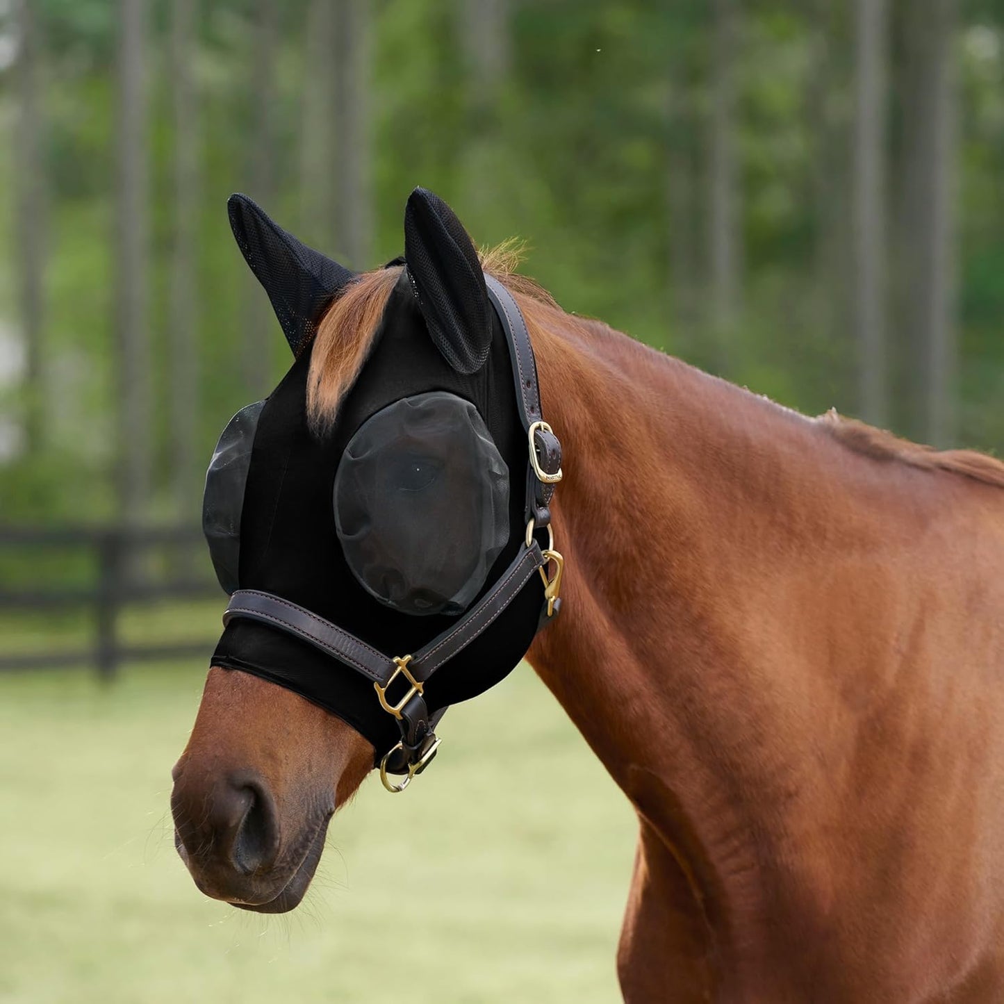 SmartEquine Comfort Fly Mask with SmartCore Technology | UV Horse Mask | UPF 50 | Forelock Hole | Stretch Material | Fine Mesh Around Ears | Moisture-Wicking for Cool Comfort (Cob)